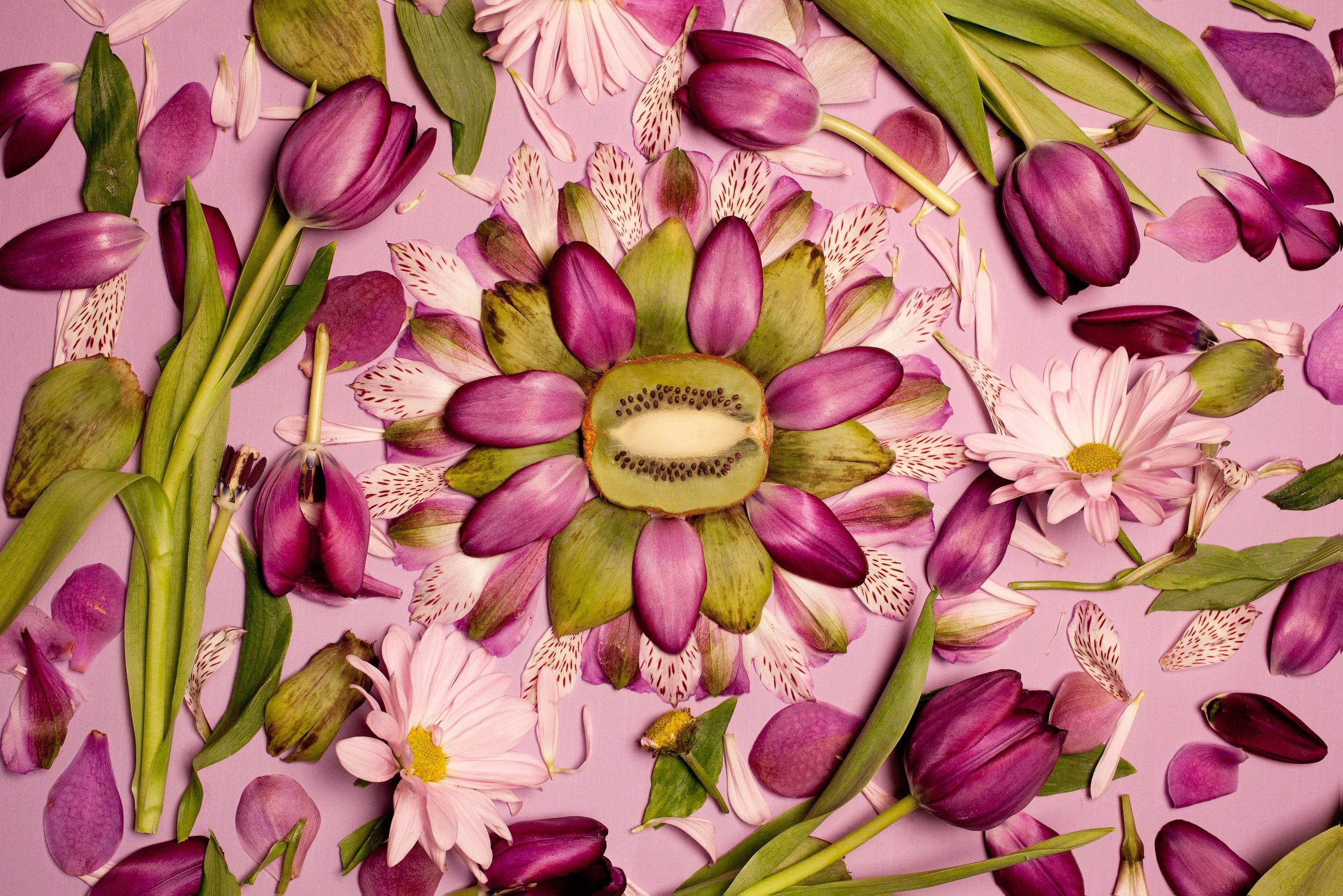 Overhead arrangement in kaleidoscope style of pink and purple flower petals, green leaves, tulips, daisies, and a halved kiwi on a pink background