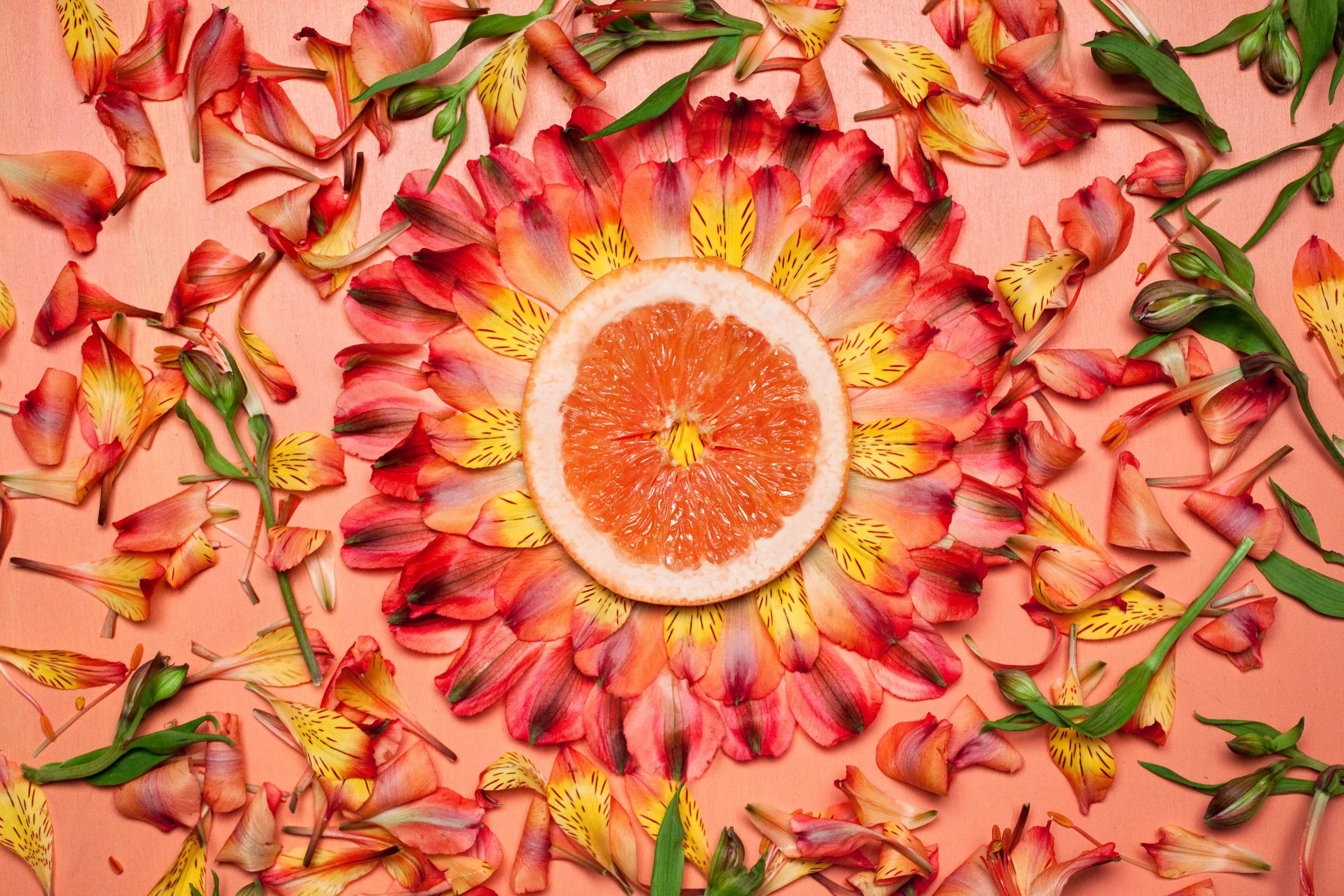 Overhead flat-lay of a Grapefruit slice surrounded by colorful red, pink, orange, and yellow flower petals in a kaleidoscope deisgn on a coral background