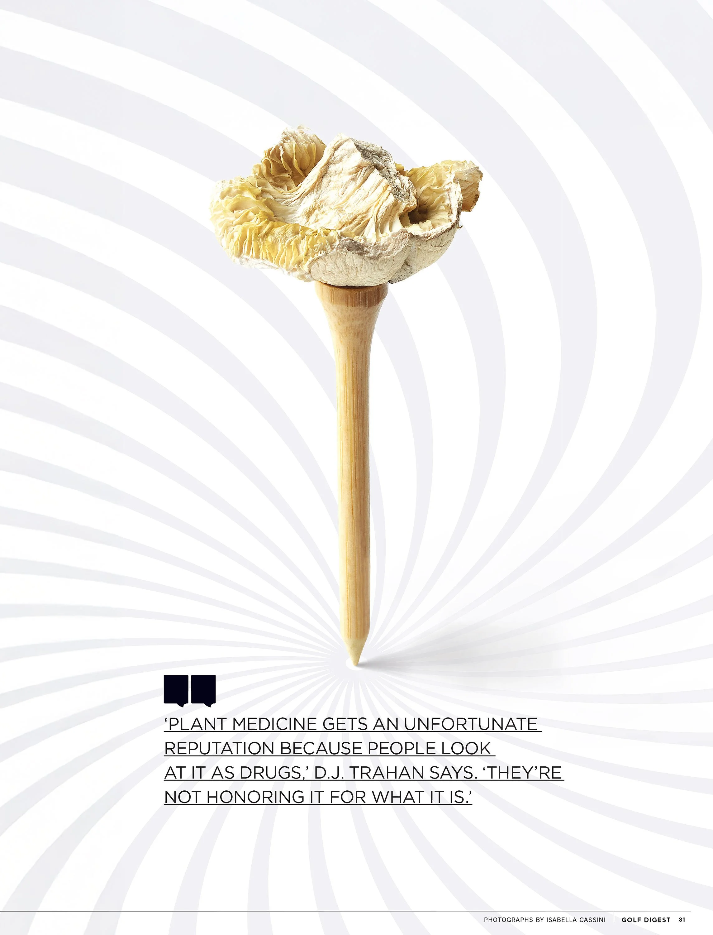 GD1023_FEAT_MUSHROOM_EDITED-3c_cropped.jpg