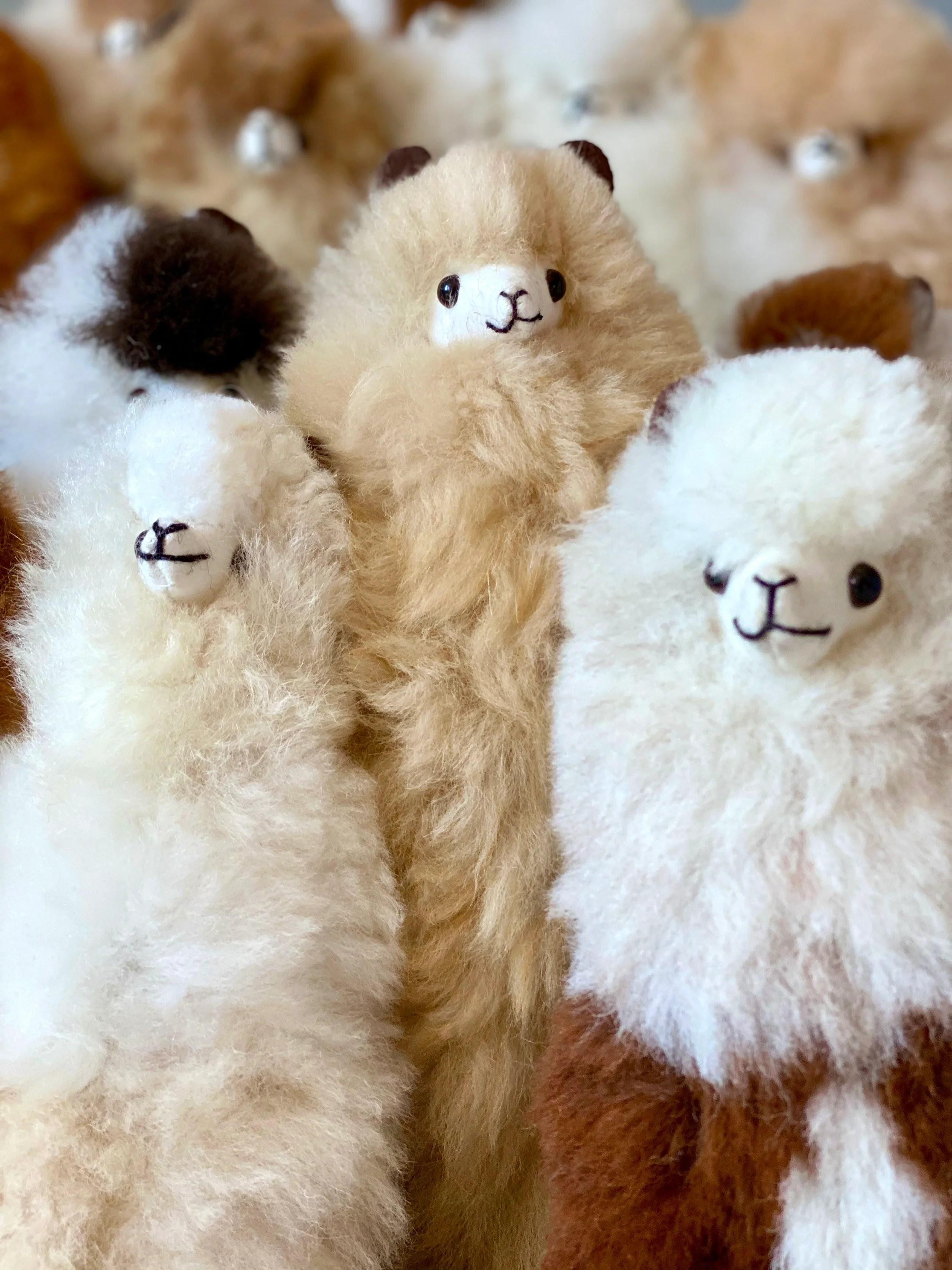 Stuffed animals Alpacas