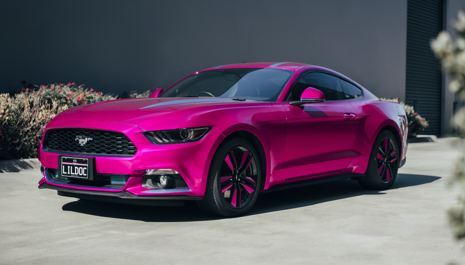 Fierce Fuchsia Mustang
