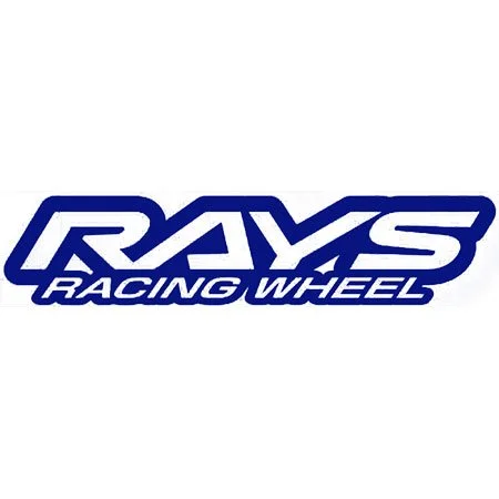 rays-logo-450.jpg.jpeg