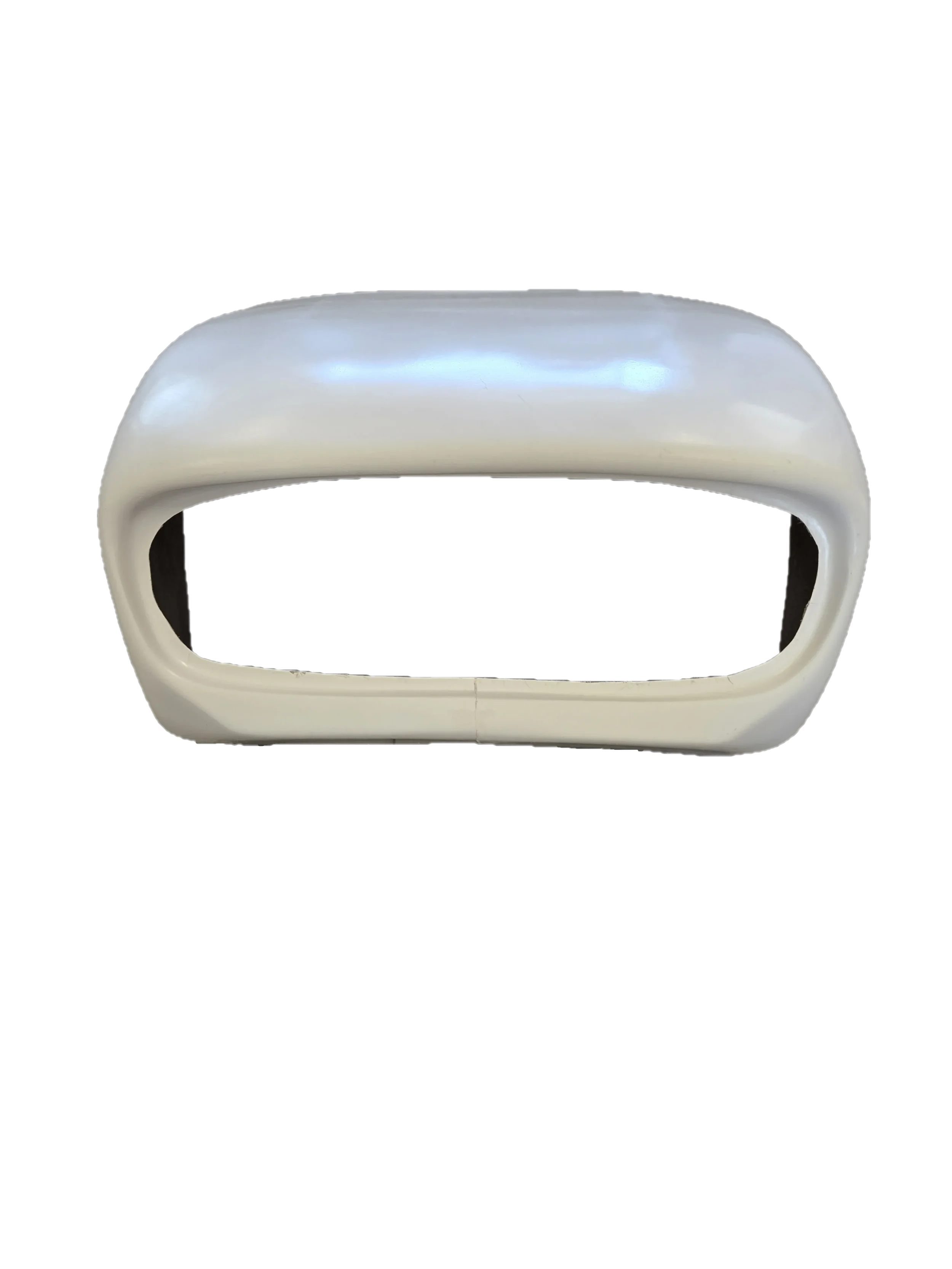 Catfish_nose_1.webp