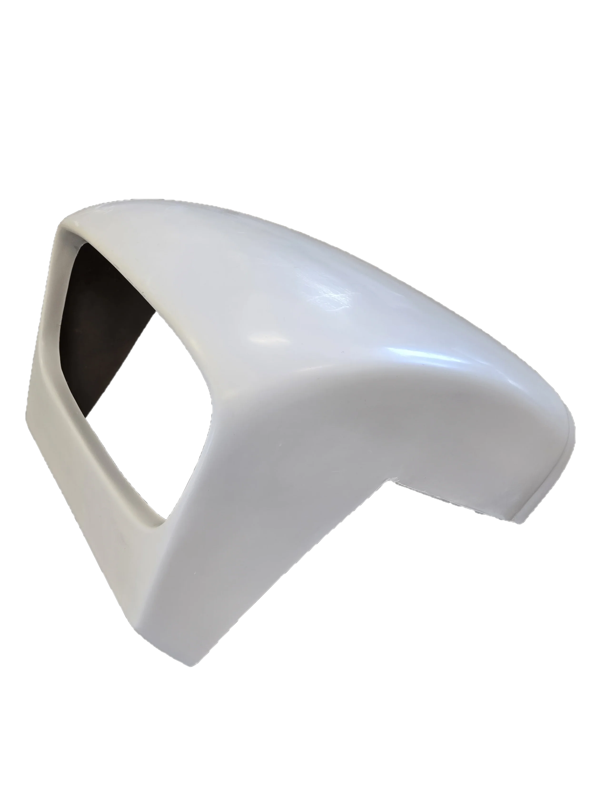 Haynesnose3.webp