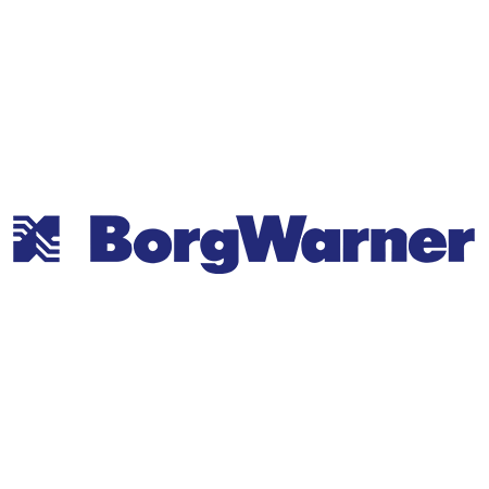 BORG_WARNER_LOGO_450-Copy.png