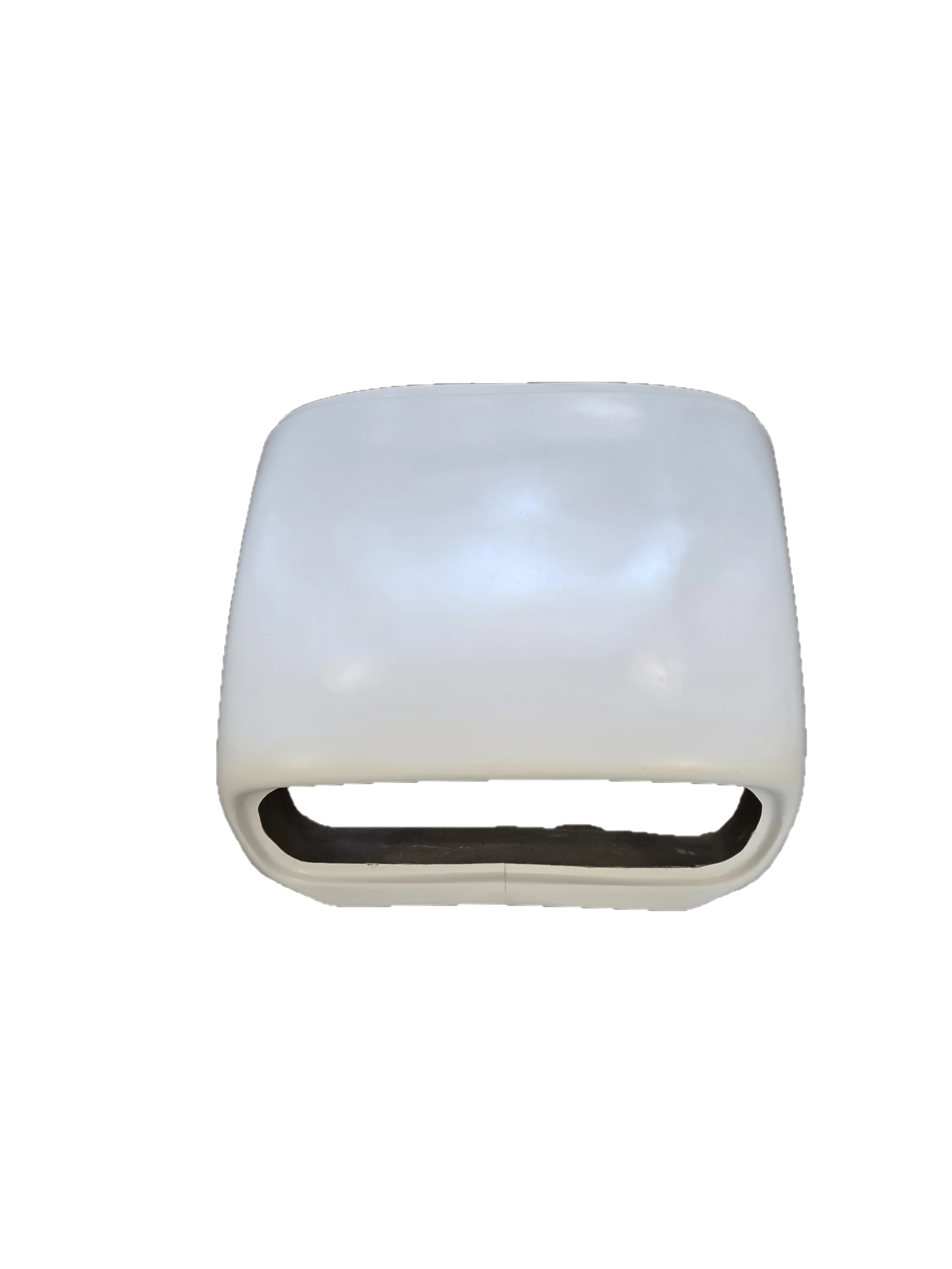 Catfish_nose_2.webp