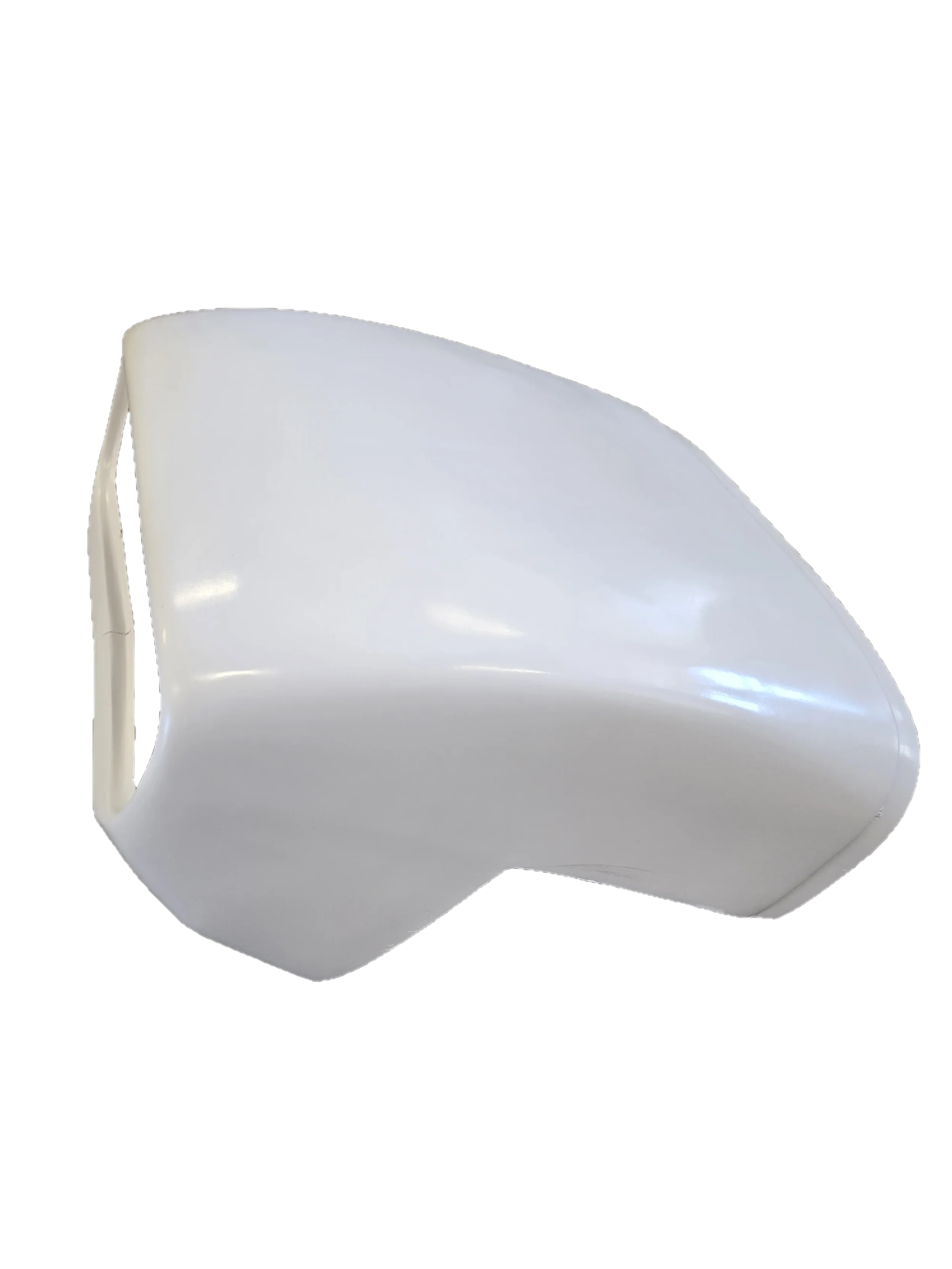 Catfish_nose_3.webp