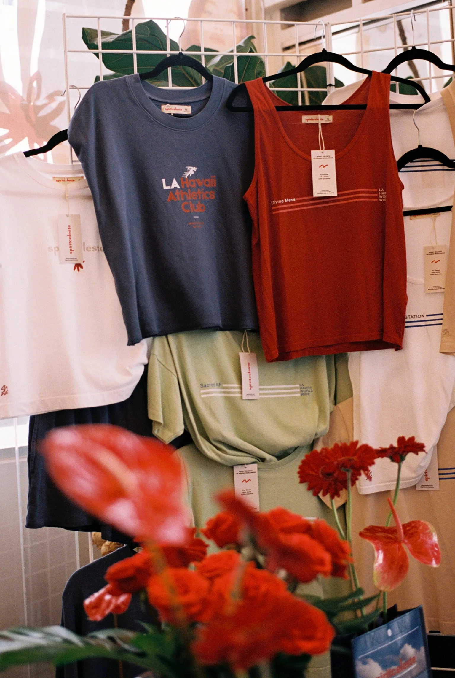 A display of casual clothing including a blue sleeveless T-shirt with the text 'LA Hawaii Athletics Club' and a red sleeveless top that says 'Divine Mess.' The clothes are hanging on black hangers on a white display rack. There are some red flowers in the foreground and green plants and a wall in the background.