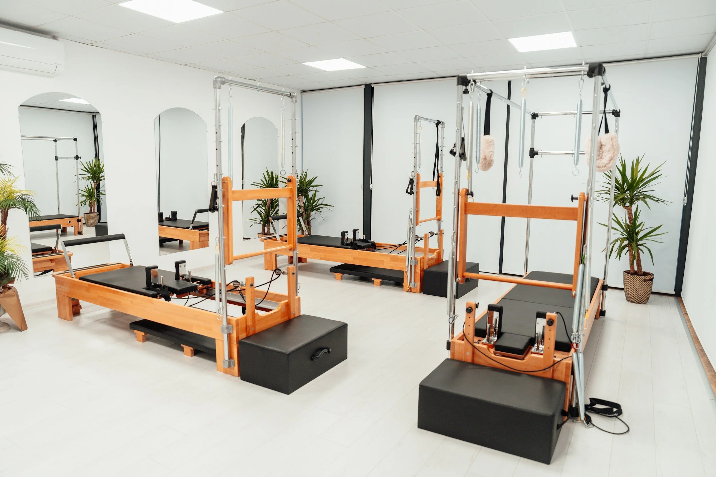 Pilates studio with reformer machines, pull-up bars, and mirrors, decorated with potted plants and a clean, modern design.
