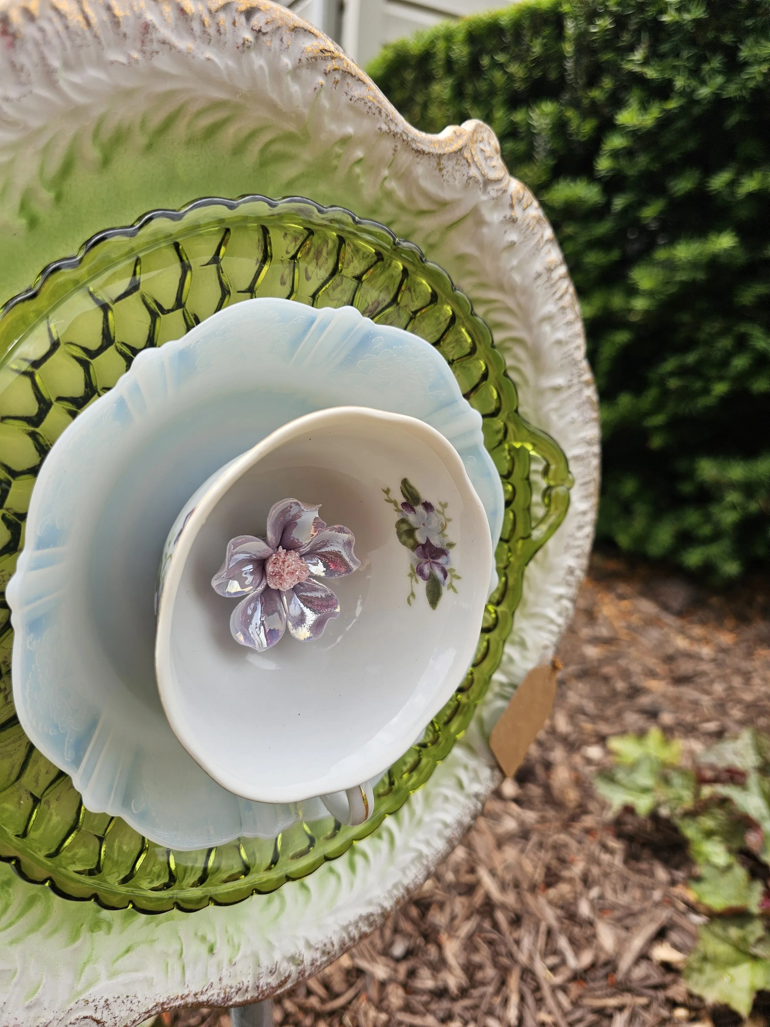 1000014104.jpg
