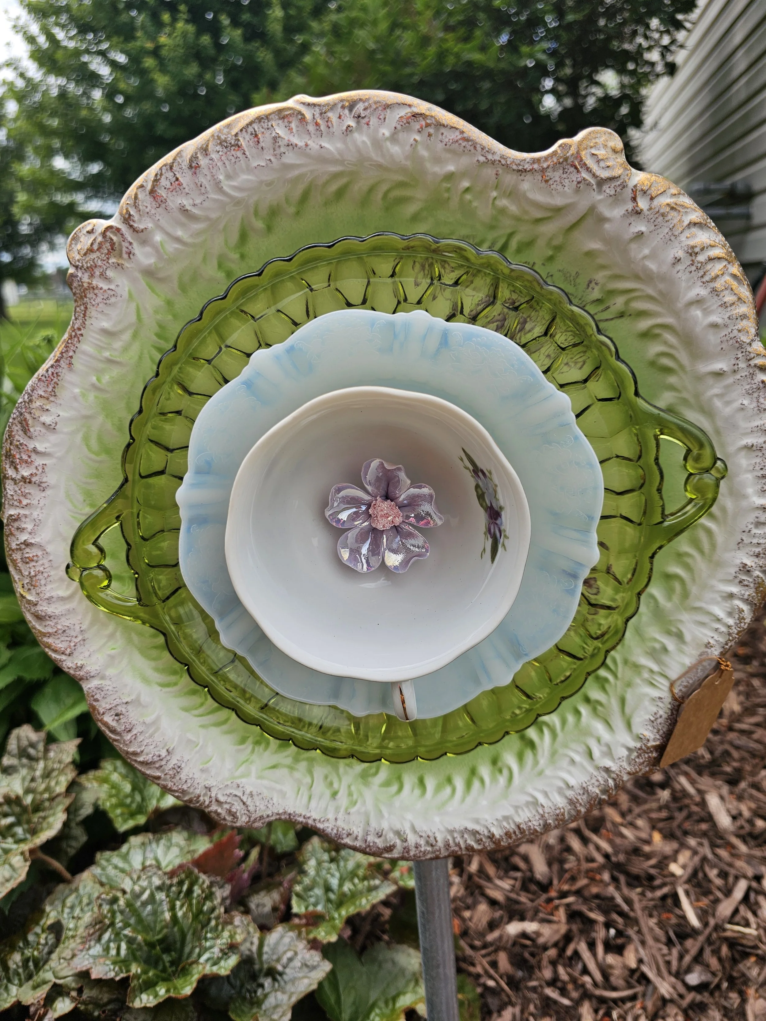 1000014105.jpg