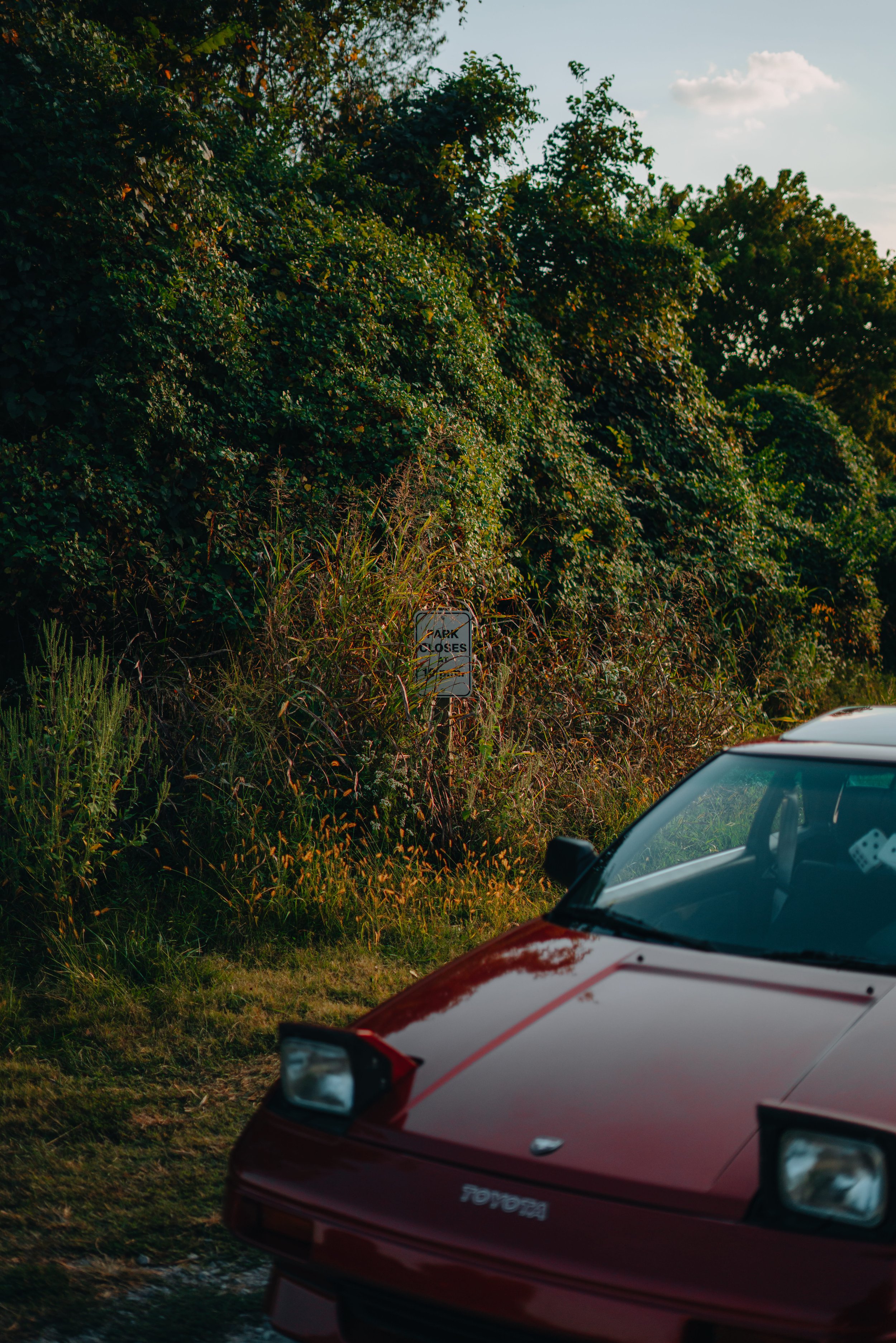 A red Toyota car parked on the grass next to dense greenery and trees with a sign that says 'Park Closes' partially visible behind the bushes.