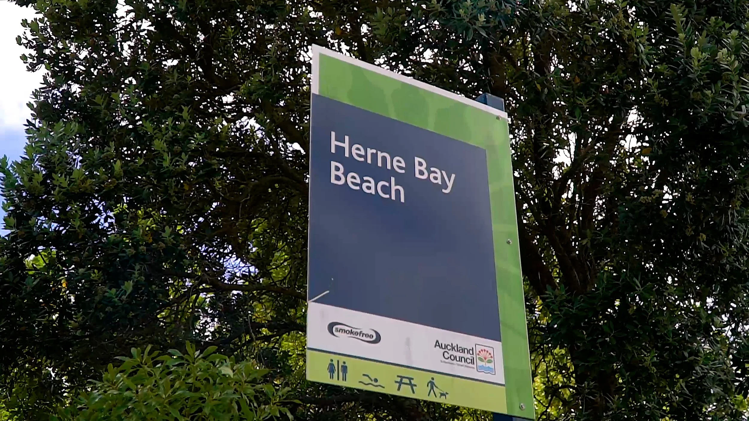 Sign indicating Herne Bay Beach with symbols for facilities and activities, surrounded by greenery.