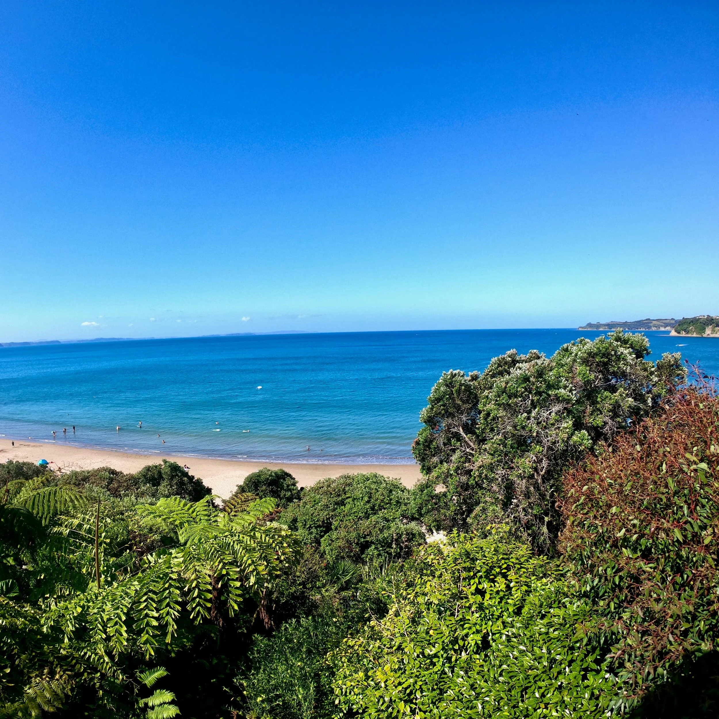 Coastal view with a sandy beach, blue ocean, and green foliage in the foreground under a clear blue sky.