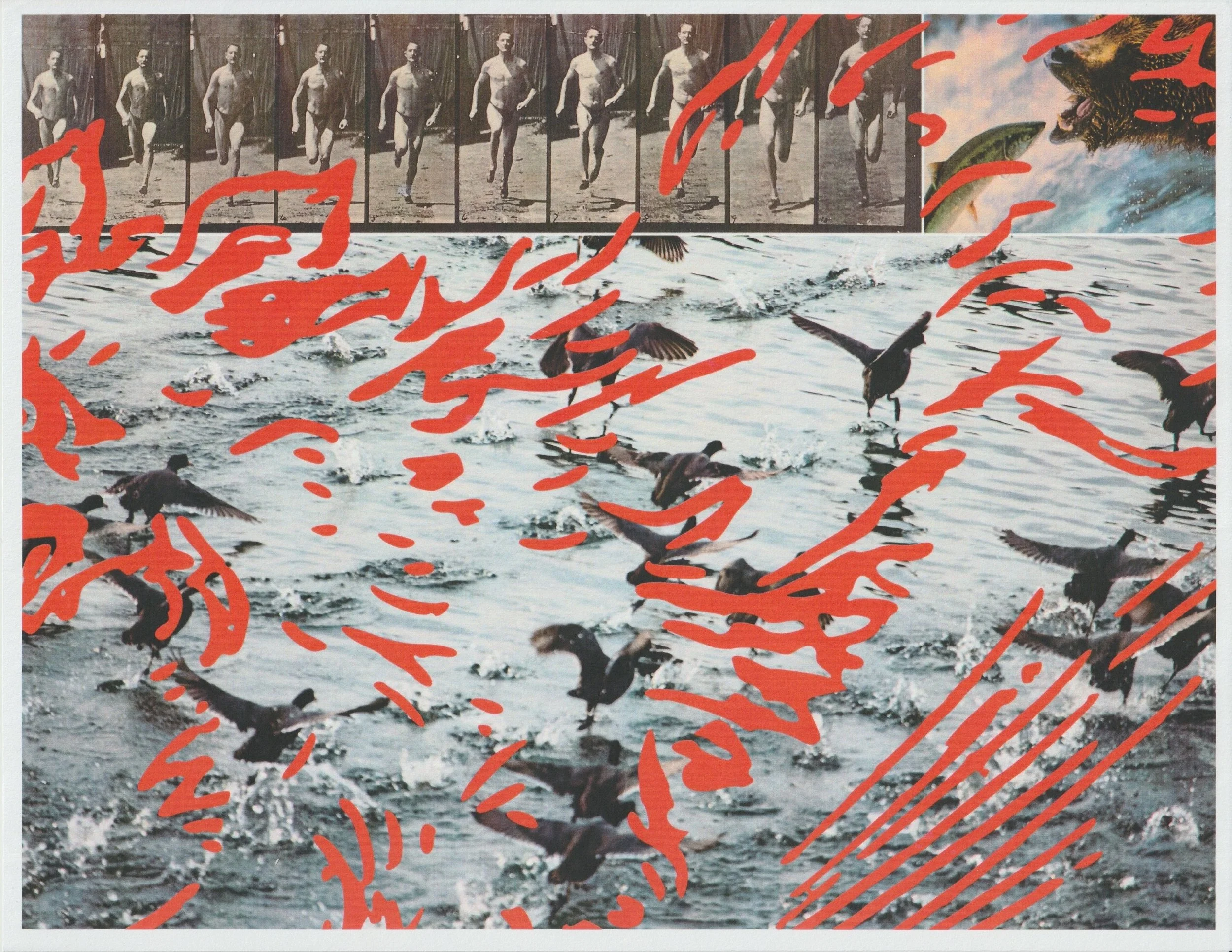 Untitled (2023) 