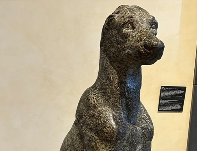 Roman marble statue of a dog