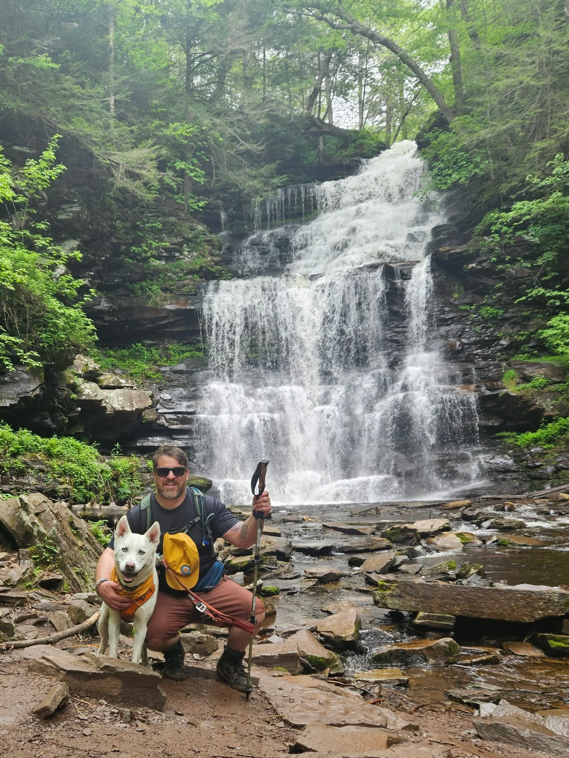 A man hiking with a dog in front of a waterfall with lush green trees.