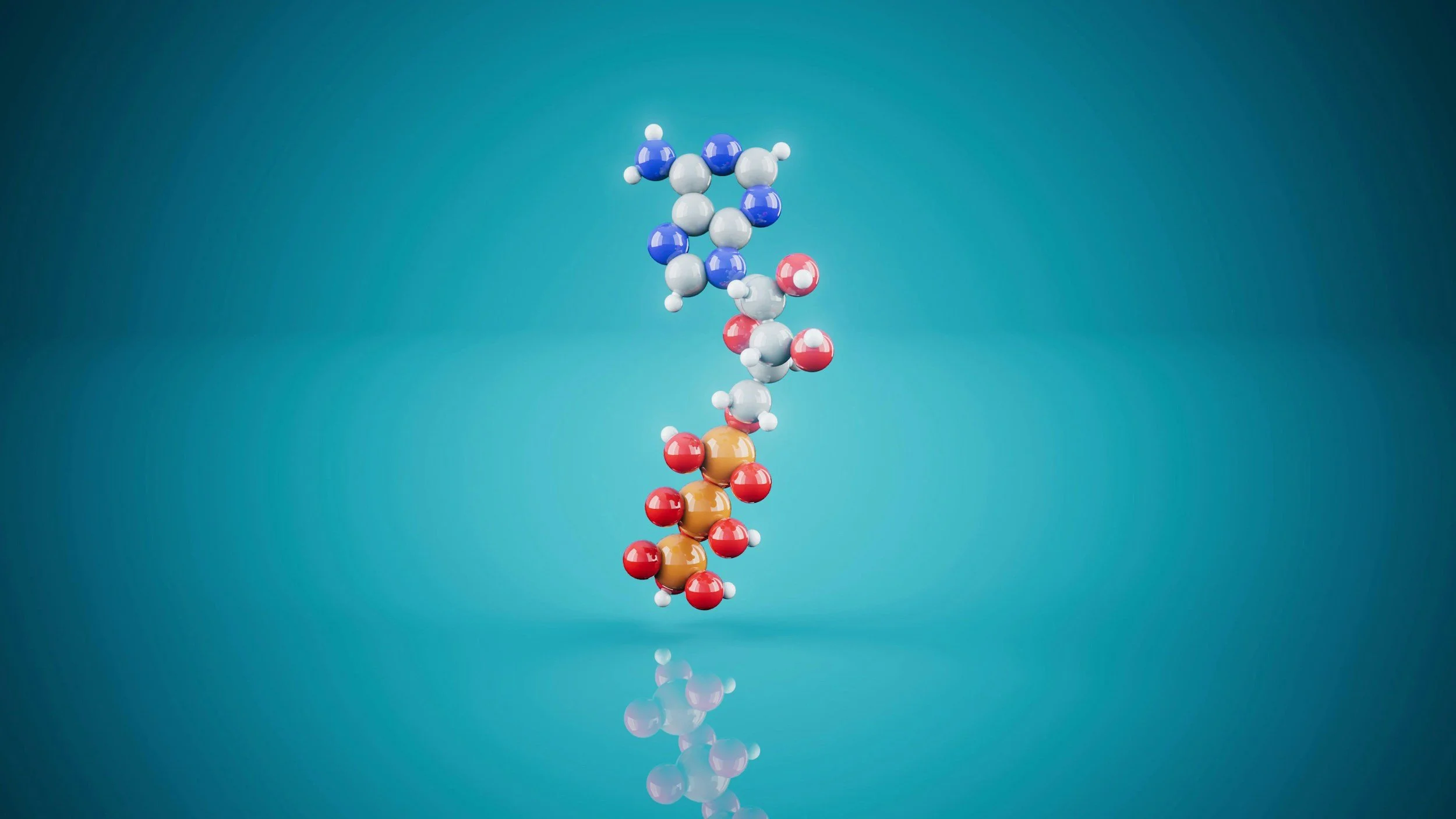 Colorful molecular model representing DNA with blue, white, red, and yellow spheres connected by sticks, against a blue background.