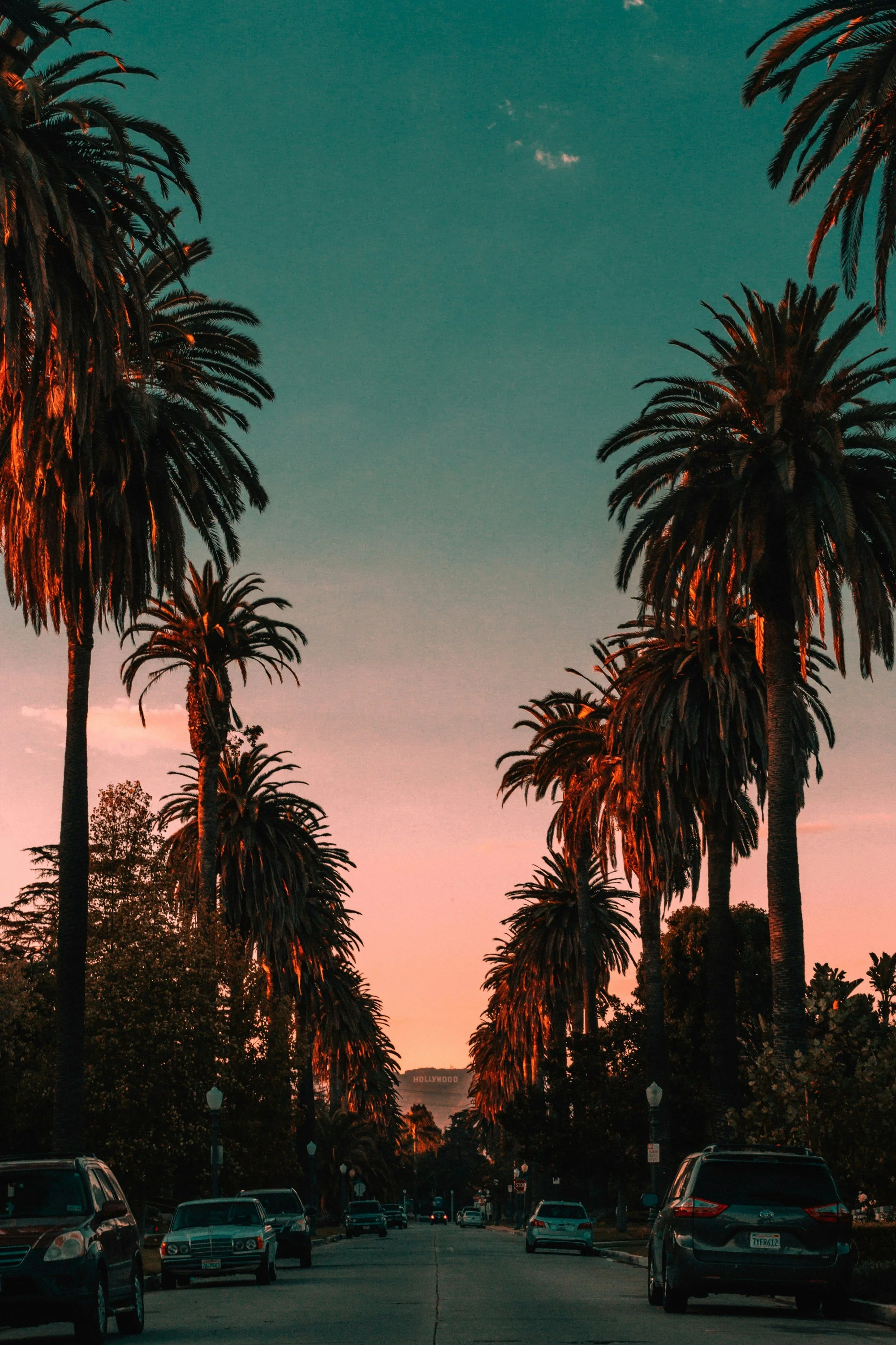 Palm trees line a street at sunset with the Hollywood sign visible in the distance.