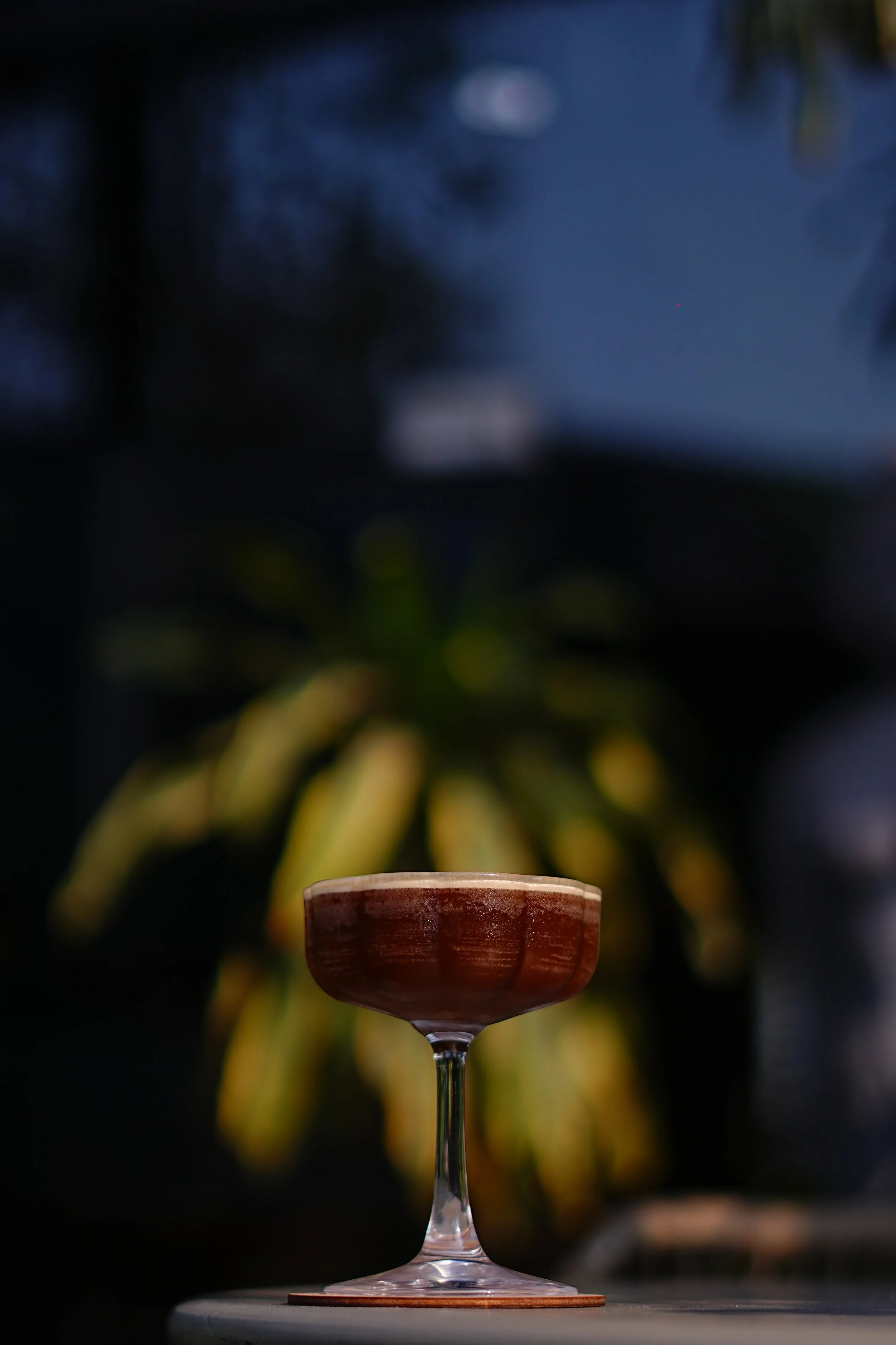 5ZA09906.JPG