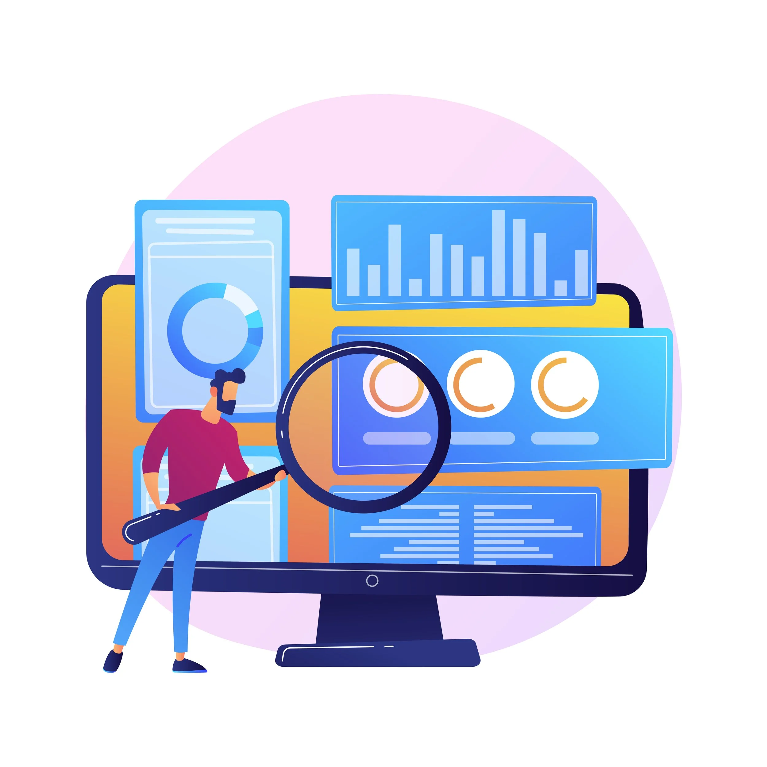 Data Audit