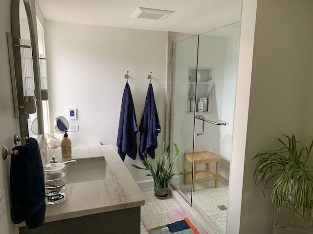 Bathroom with a vanity sink, a glass-enclosed shower, and two blue towels hanging on hooks, with plants and bathroom essentials