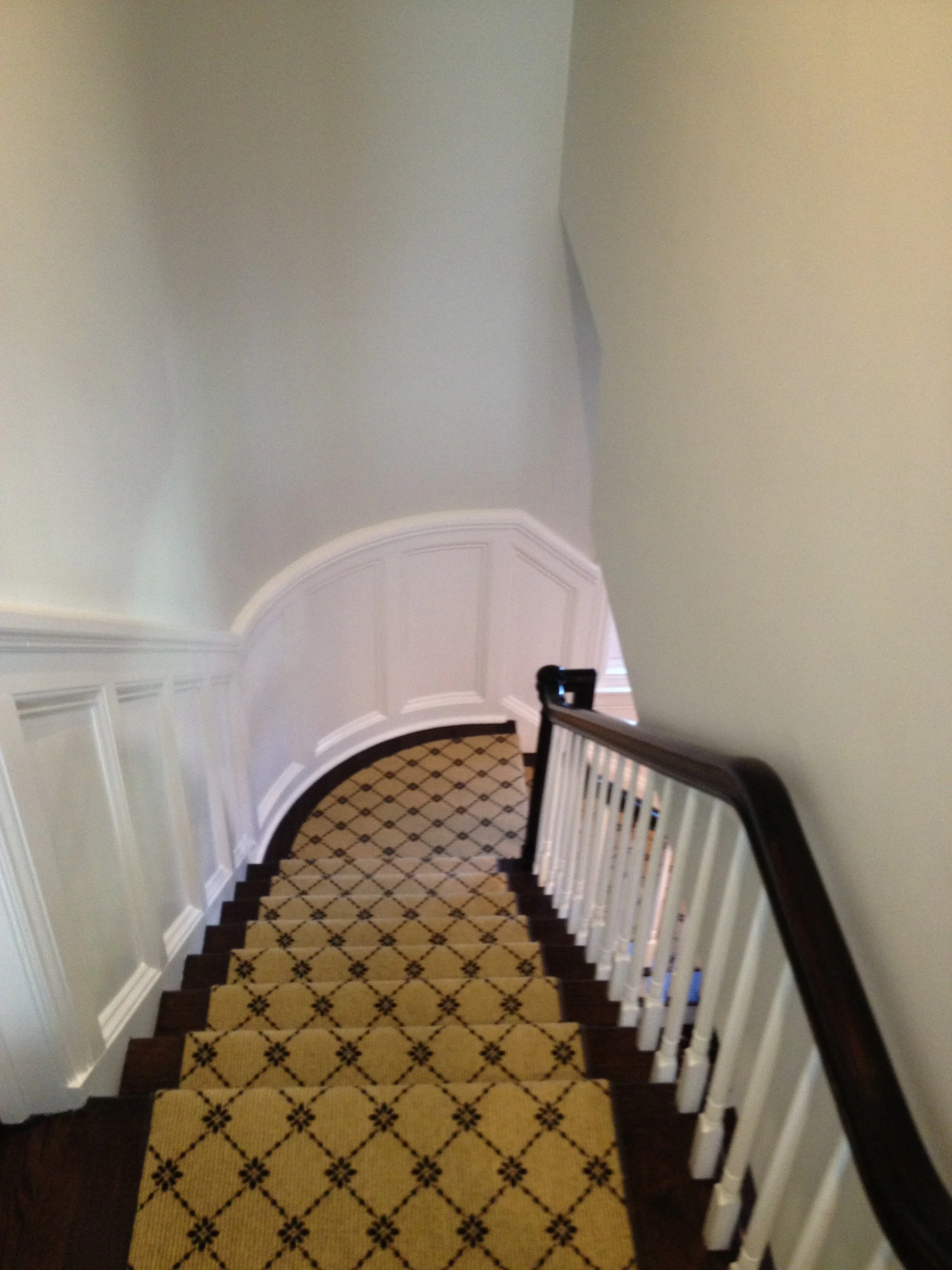 A staircase with patterned carpet, white wainscoting, and a black handrail on the right.