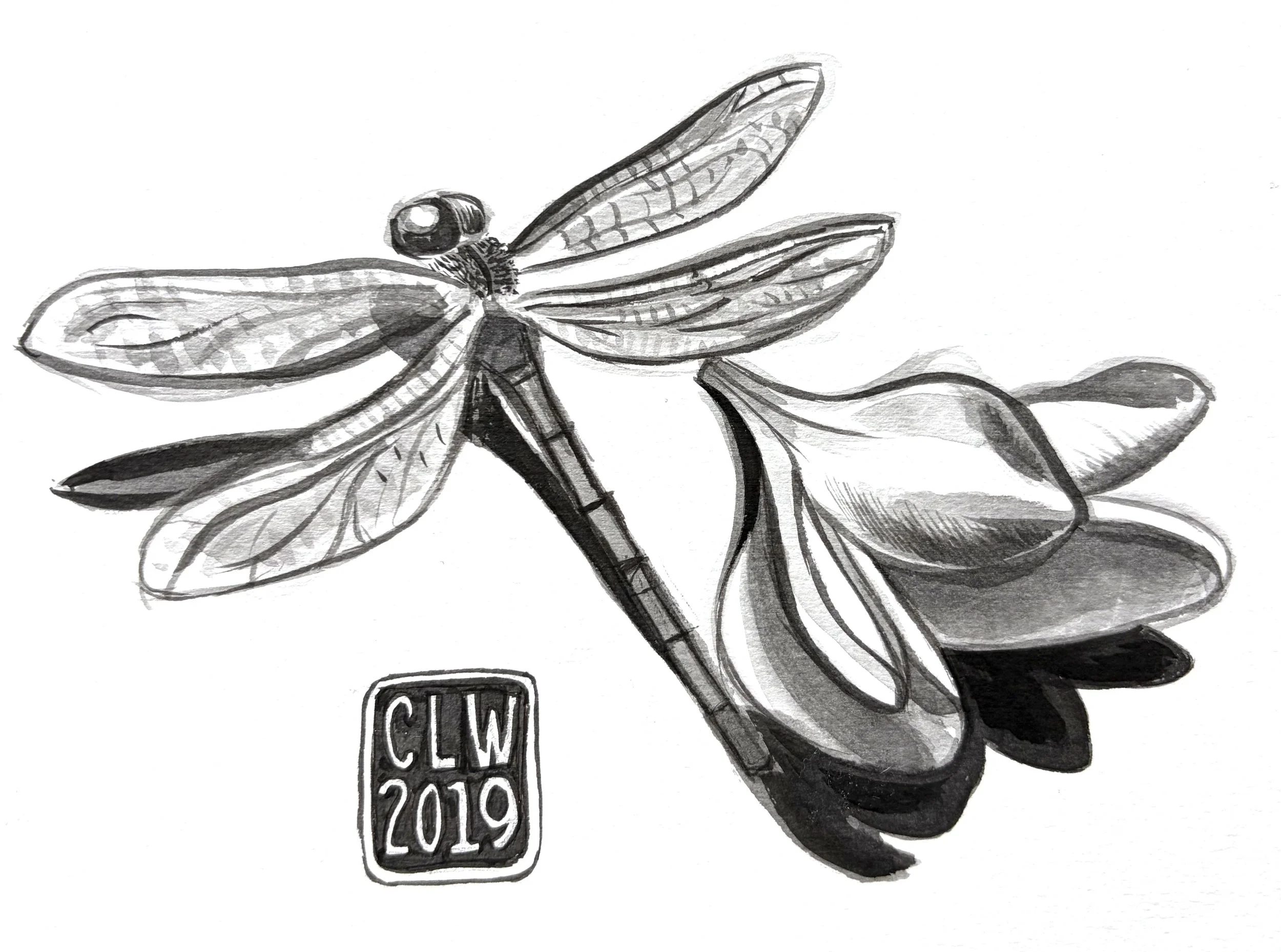 IMG_4144.jpg