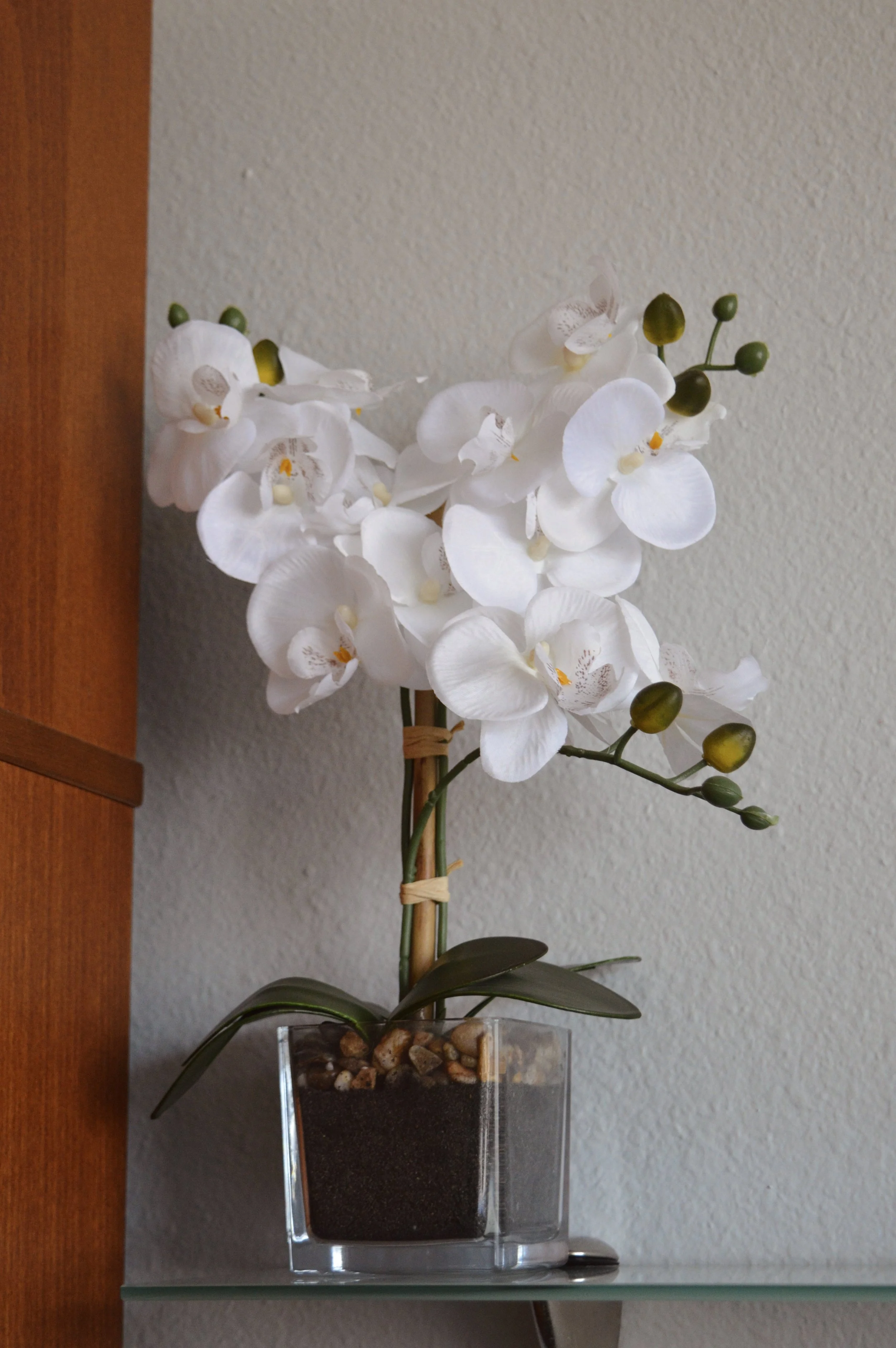 A potted white orchid on a glass shelf against a beige wall next to a wooden surface.