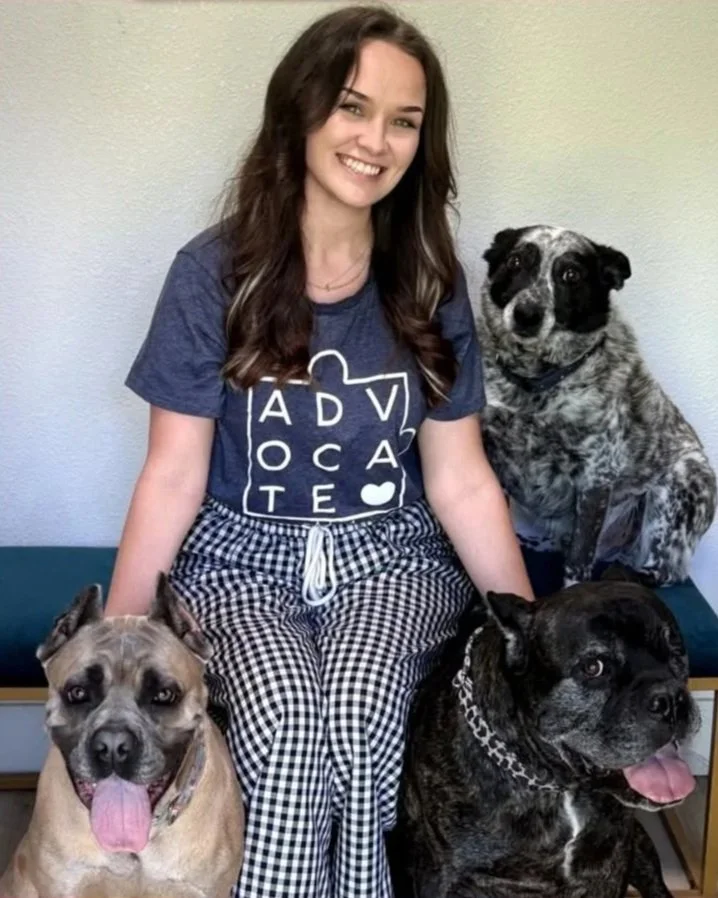 A young woman with long brown hair smiling, sitting on a blue bench with three dogs: one gray and white with black spots on the right, and two larger dogs in front — one tan with a black face and tongue out, and the other black with a chain collar, also with tongue out, against a plain light-colored wall.