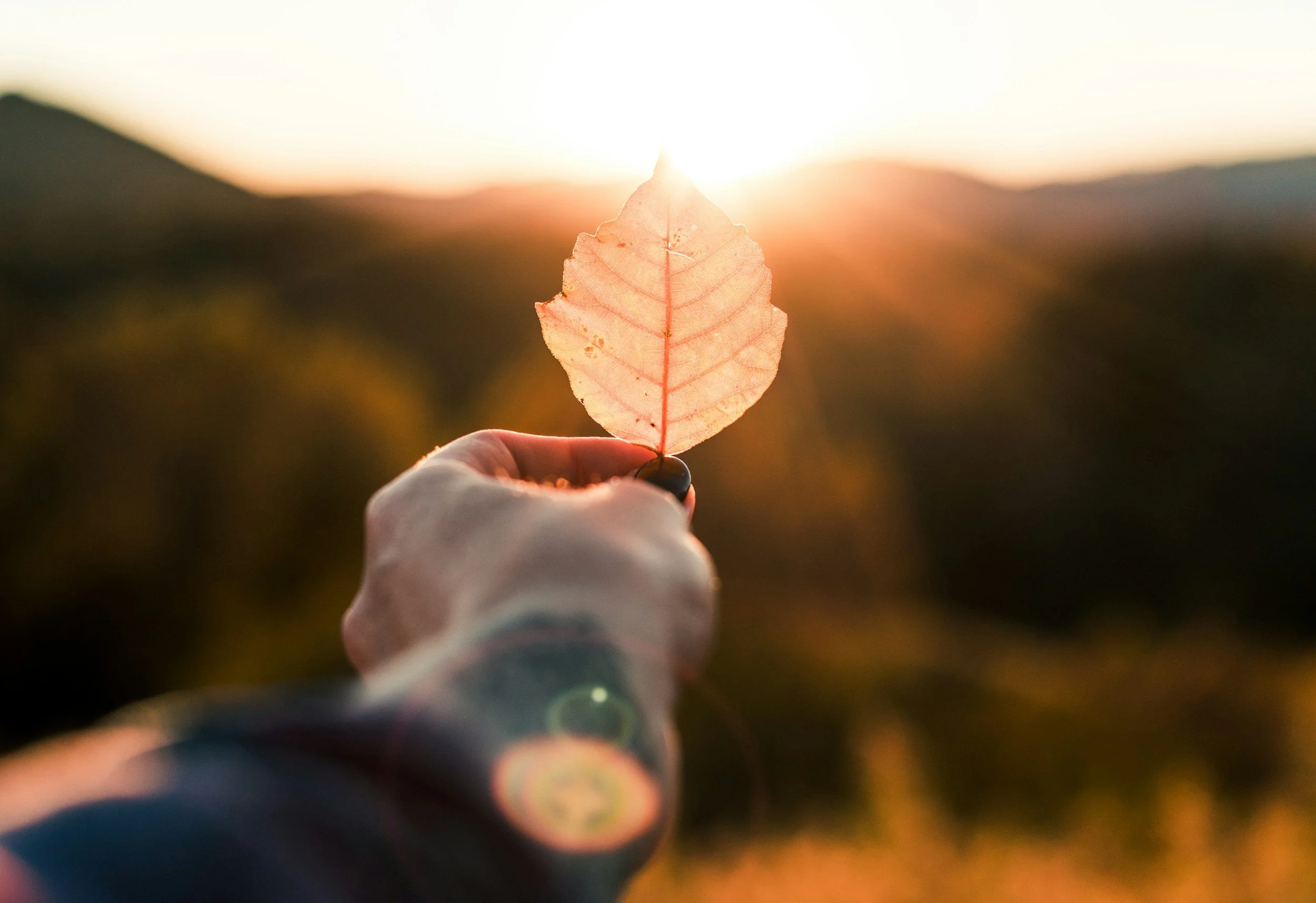 unsplash-image-Vu0wrj-ZUzU.jpg