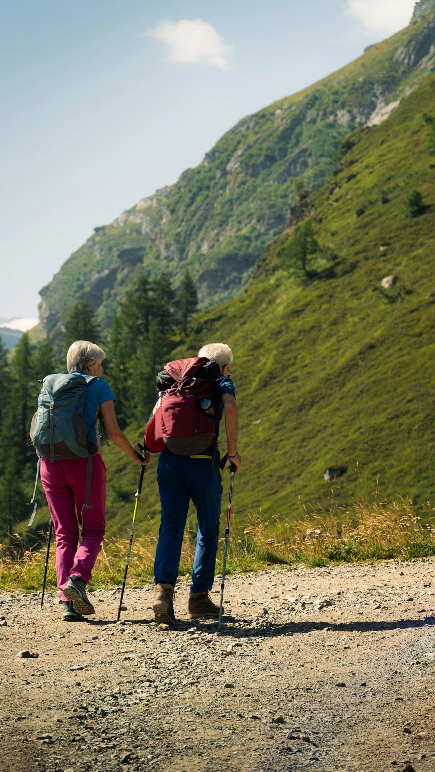 Two elderly/senior/retired hikers, a woman and a man, walking on a dirt trail in a mountainous outdoor setting with lush green hills and pine trees in the background.