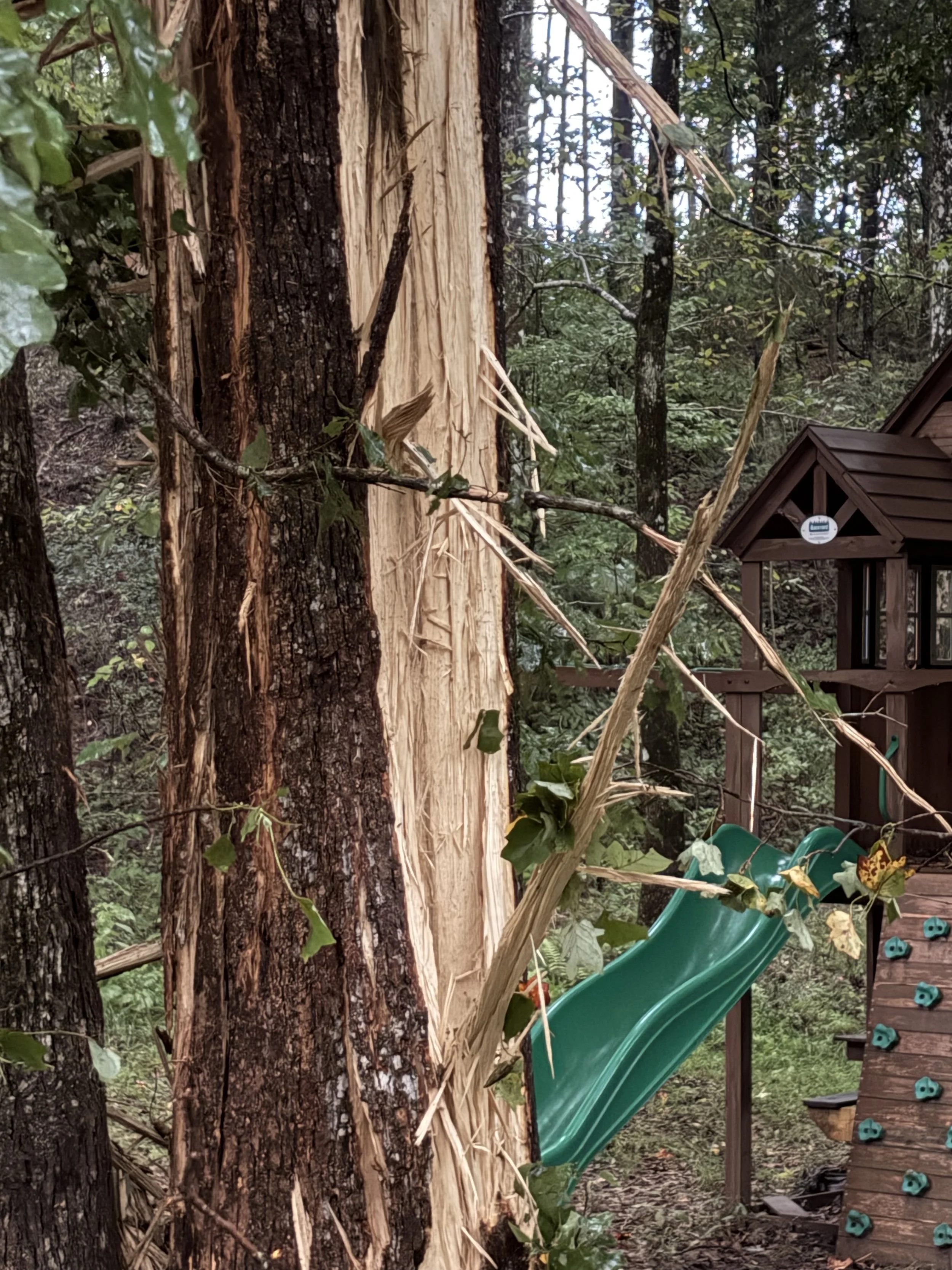 When Lightning Struck TimberlyLane Ranch