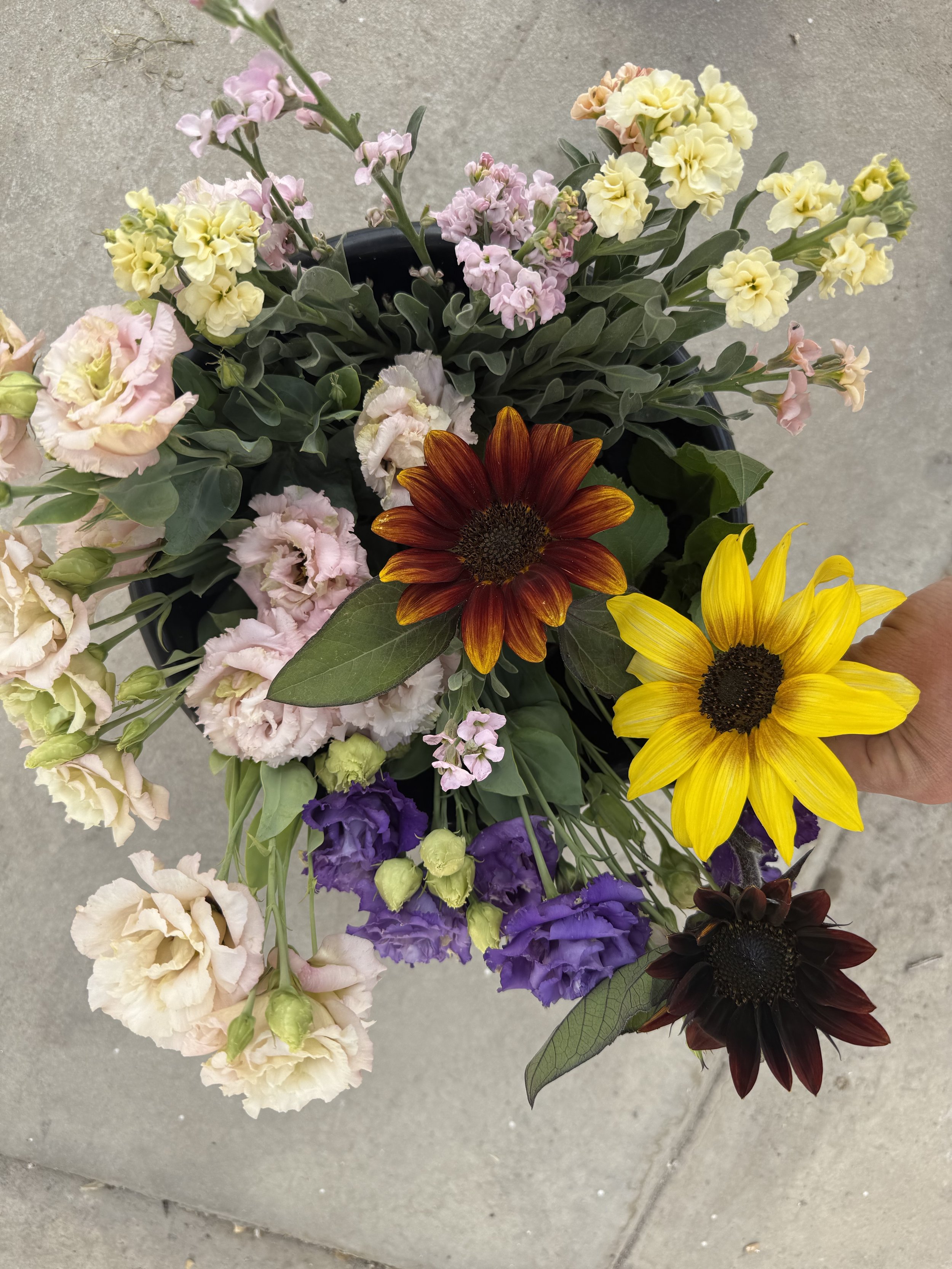 DIY Bulk Buckets