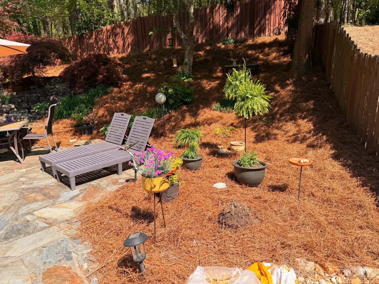 Backyard with patio, lounge chairs, potted plants, garden tools, and a landscaped yard with mulch and trees.