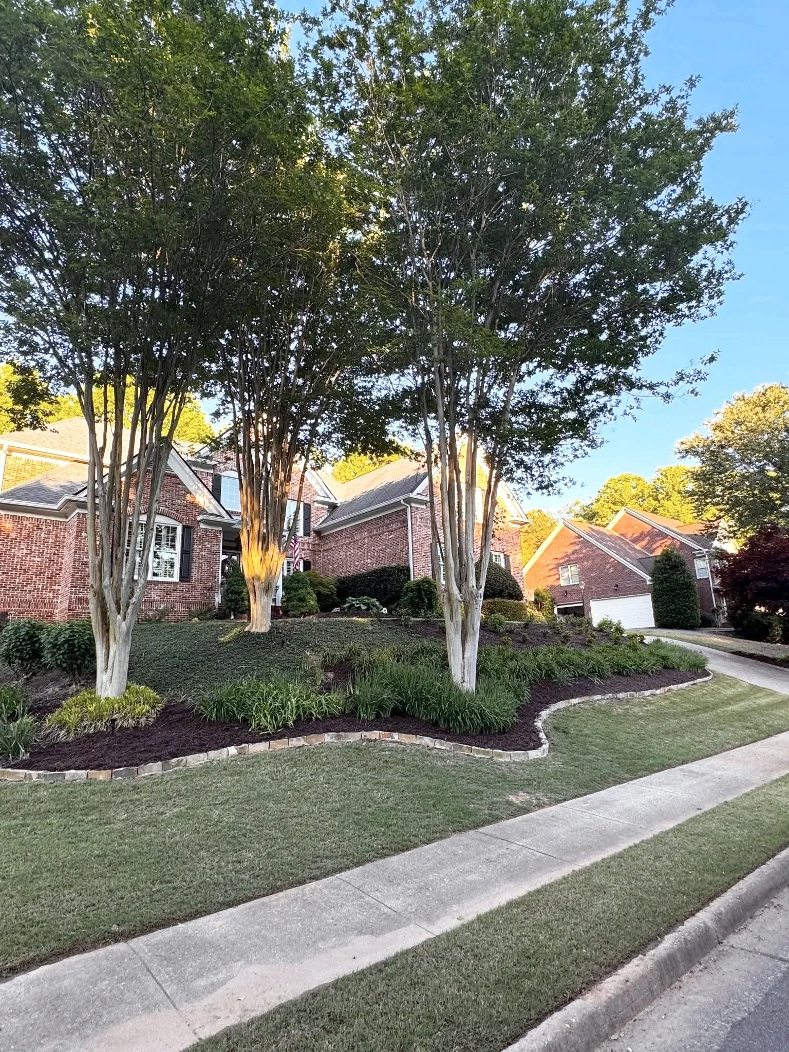 A suburban front yard with three large trees illuminated by ground lights, a brick house with white window trims, and a sidewalk in the foreground during daytime.