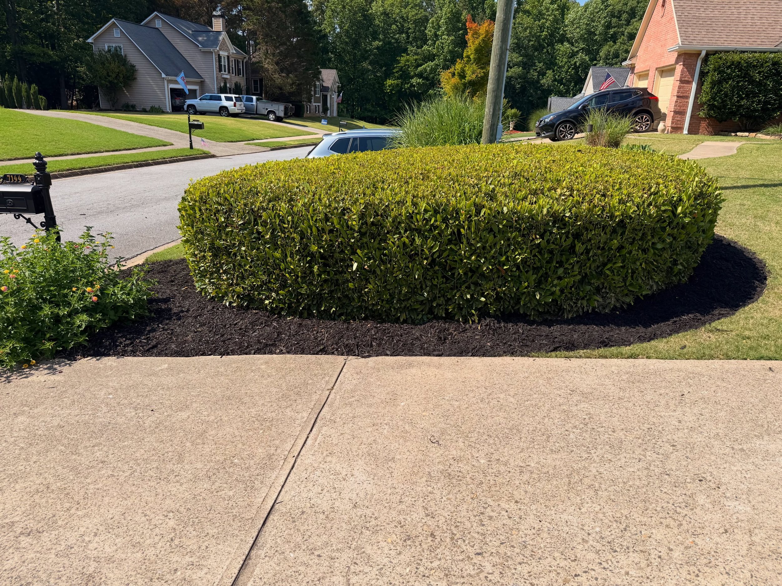 A suburban neighborhood with houses, cars, and a well-maintained lawn. The scene includes a sidewalk, a large green shrub in the foreground, and trees in the background.