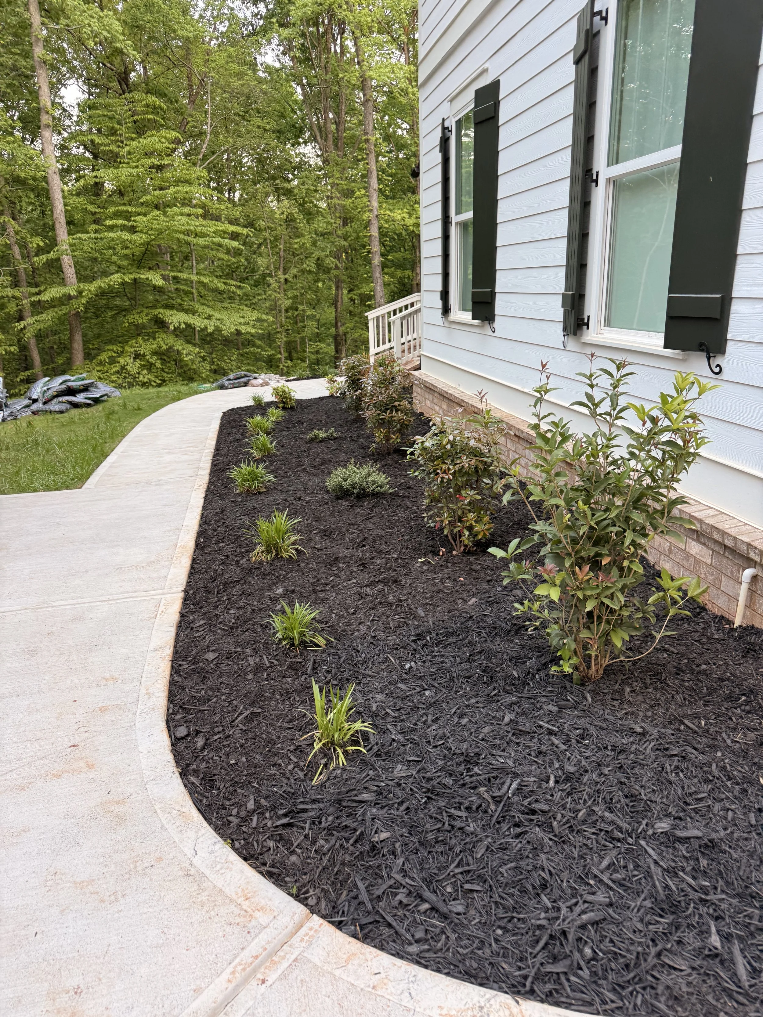 Front yard garden bed with young plants, dark mulch, and a concrete walkway adjacent to the white exterior wall of a house with black shutters, surrounded by green trees.