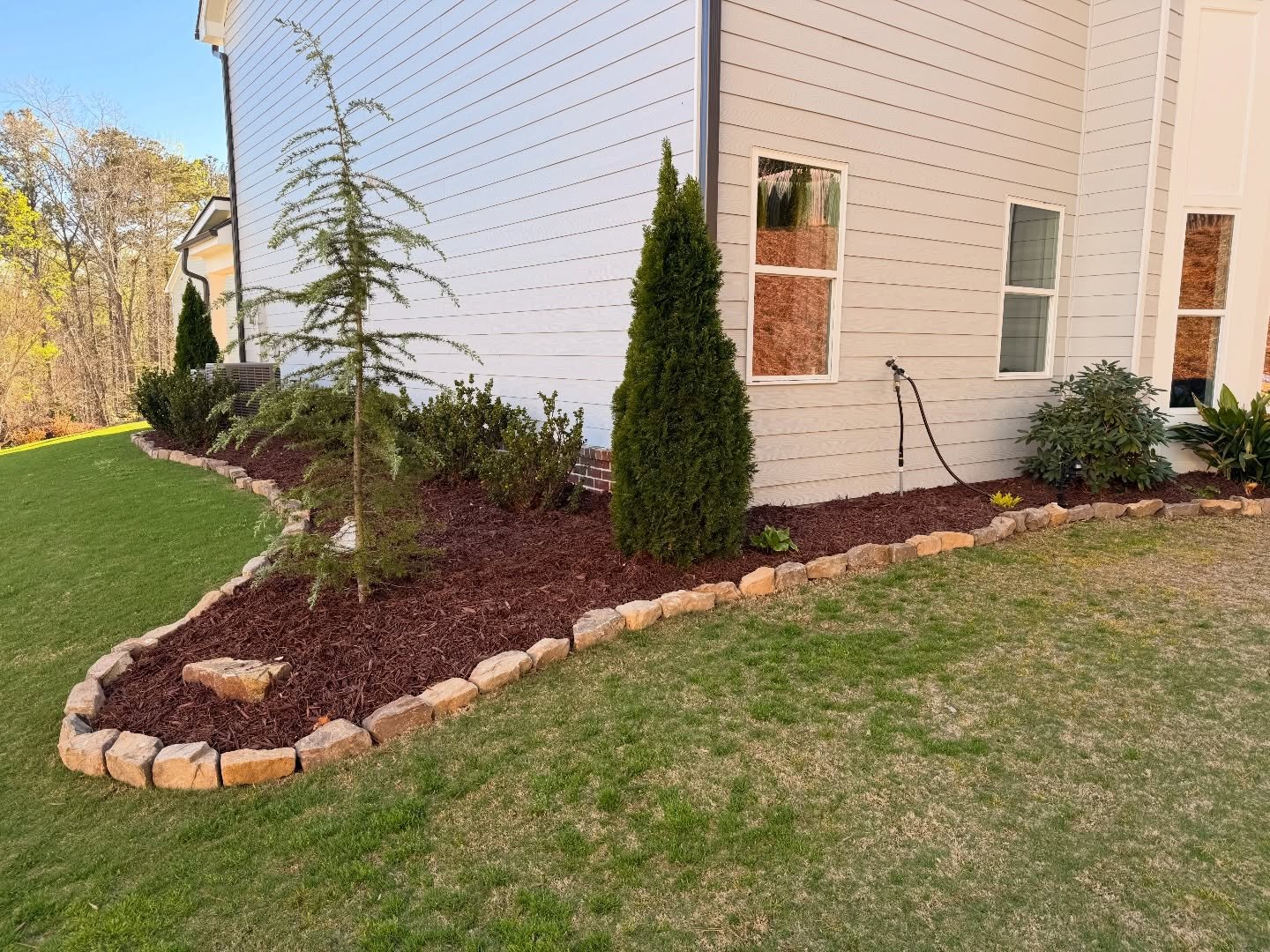 A landscaped yard with a garden bed outlined with tan bricks, containing small evergreen trees, shrubs, and mulch, next to a white house with three windows and a hose.