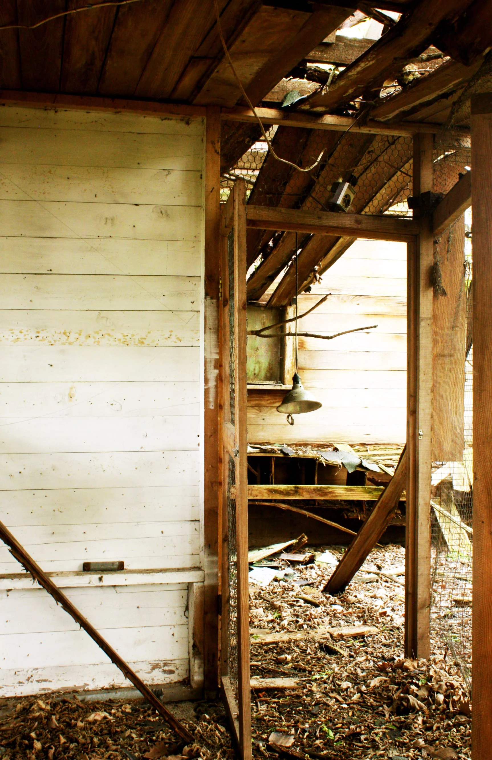 chicken coop.jpg