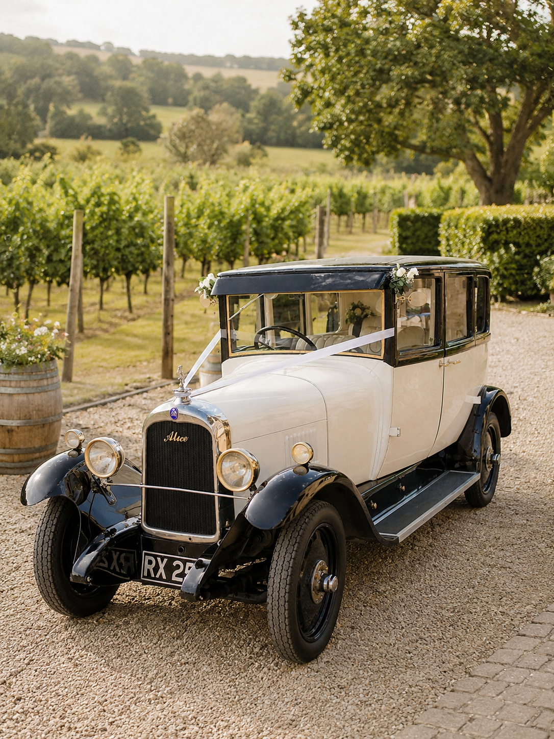 A vintage white and black car decorated with white ribbons and flowers, parked in a vineyard with grapevines, trees, and rolling hills in the background.