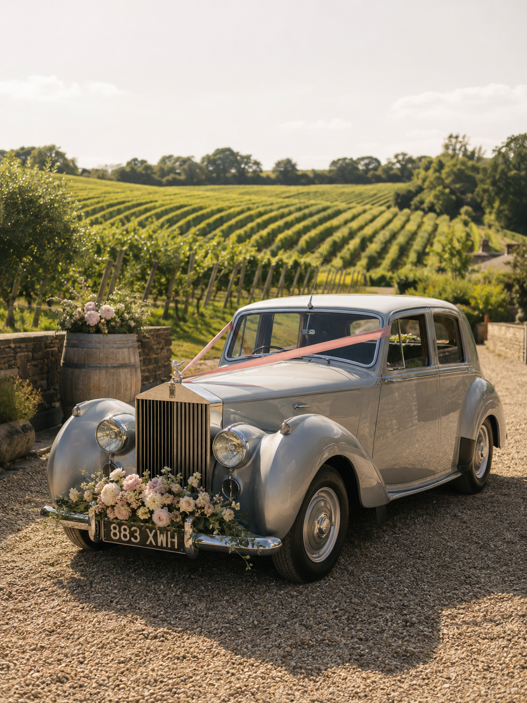 A vintage silver car decorated with pink ribbons and a flower arrangement on the front bumper, parked on a gravel driveway in front of a vineyard with rows of grapevines, during a sunny day.