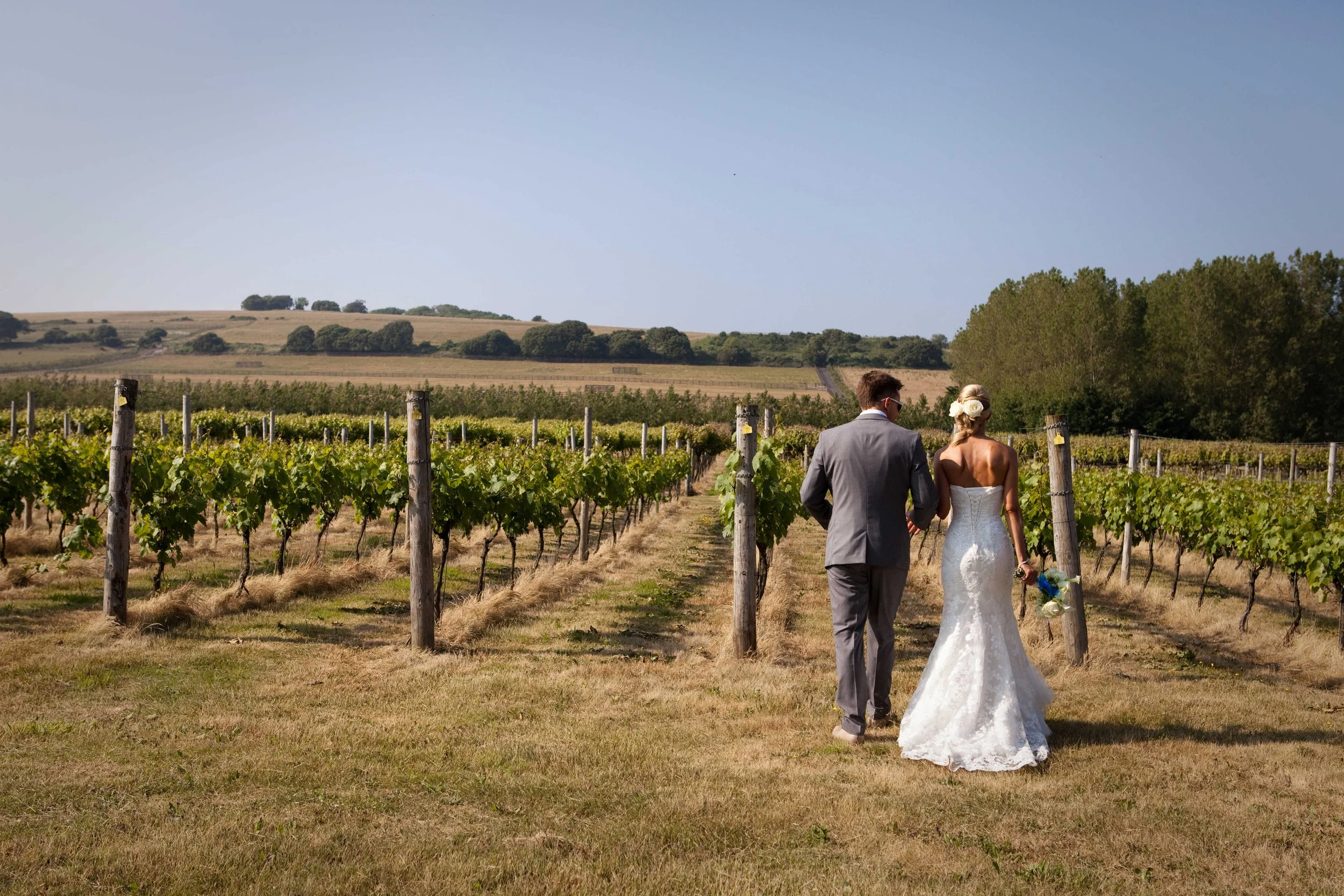 Highdown Vineyard