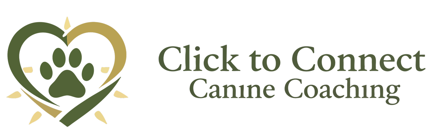 Click to Connect Canine Coaching
