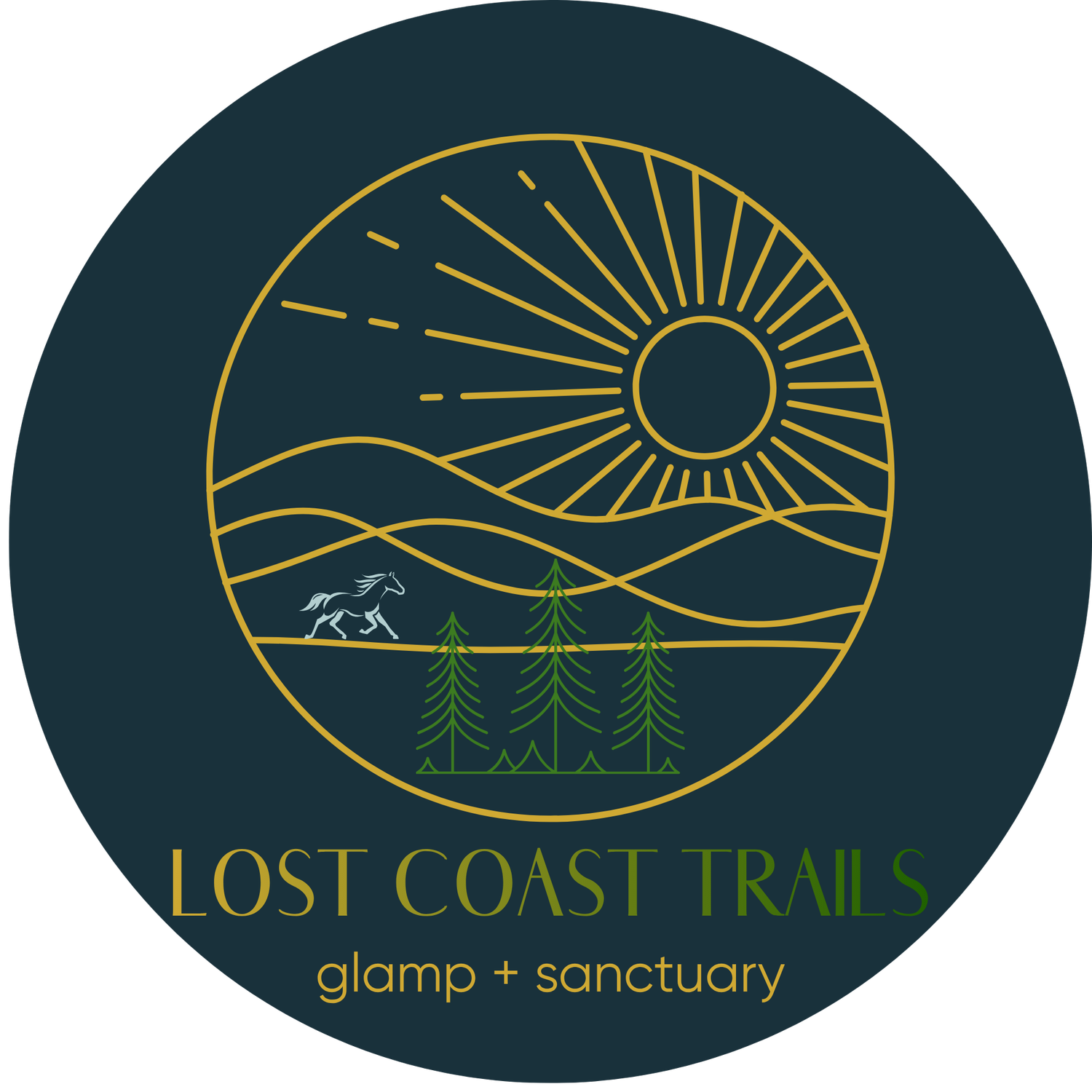 Lost Coast Trails