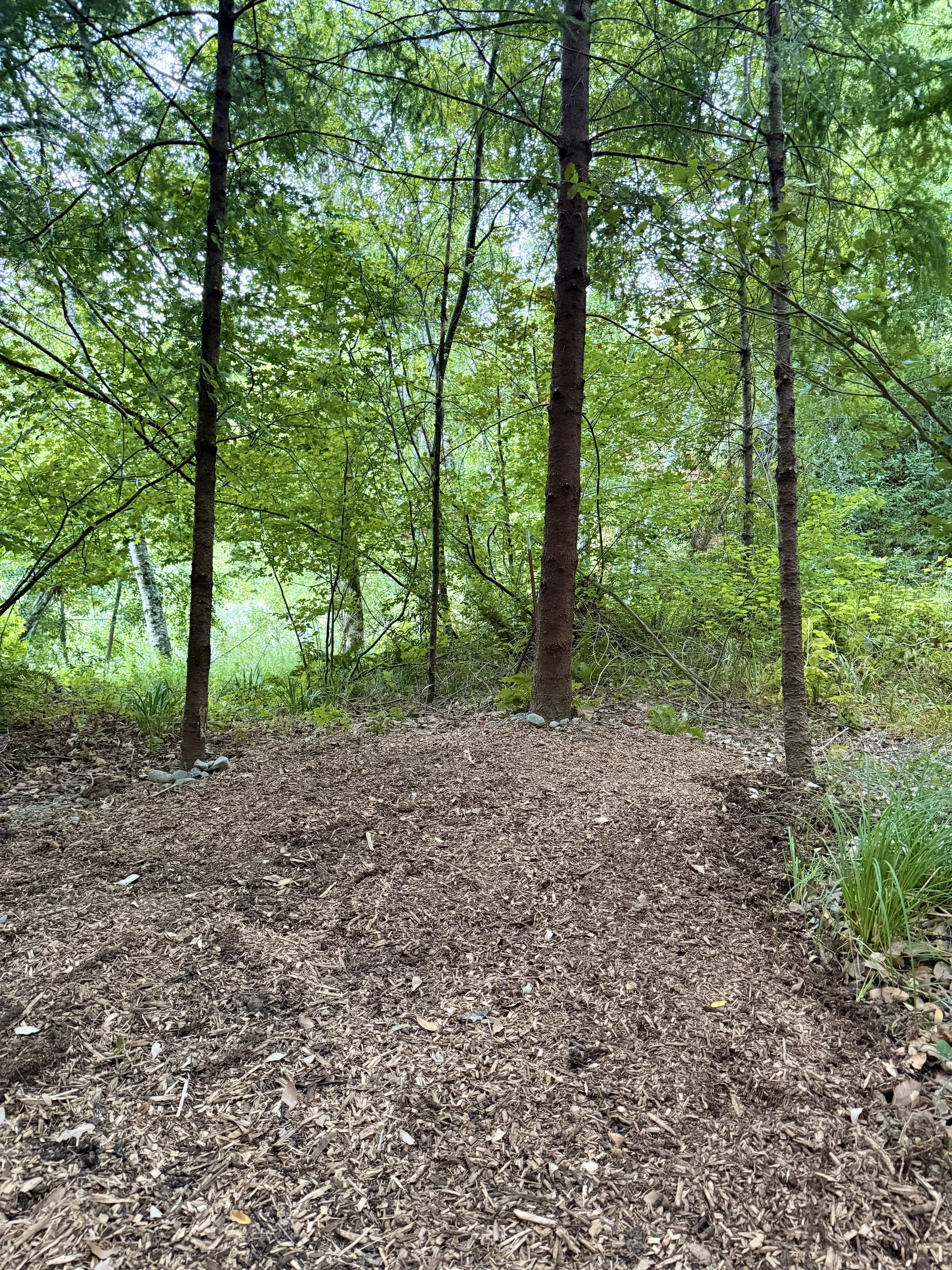 Fern Hollow Campsite