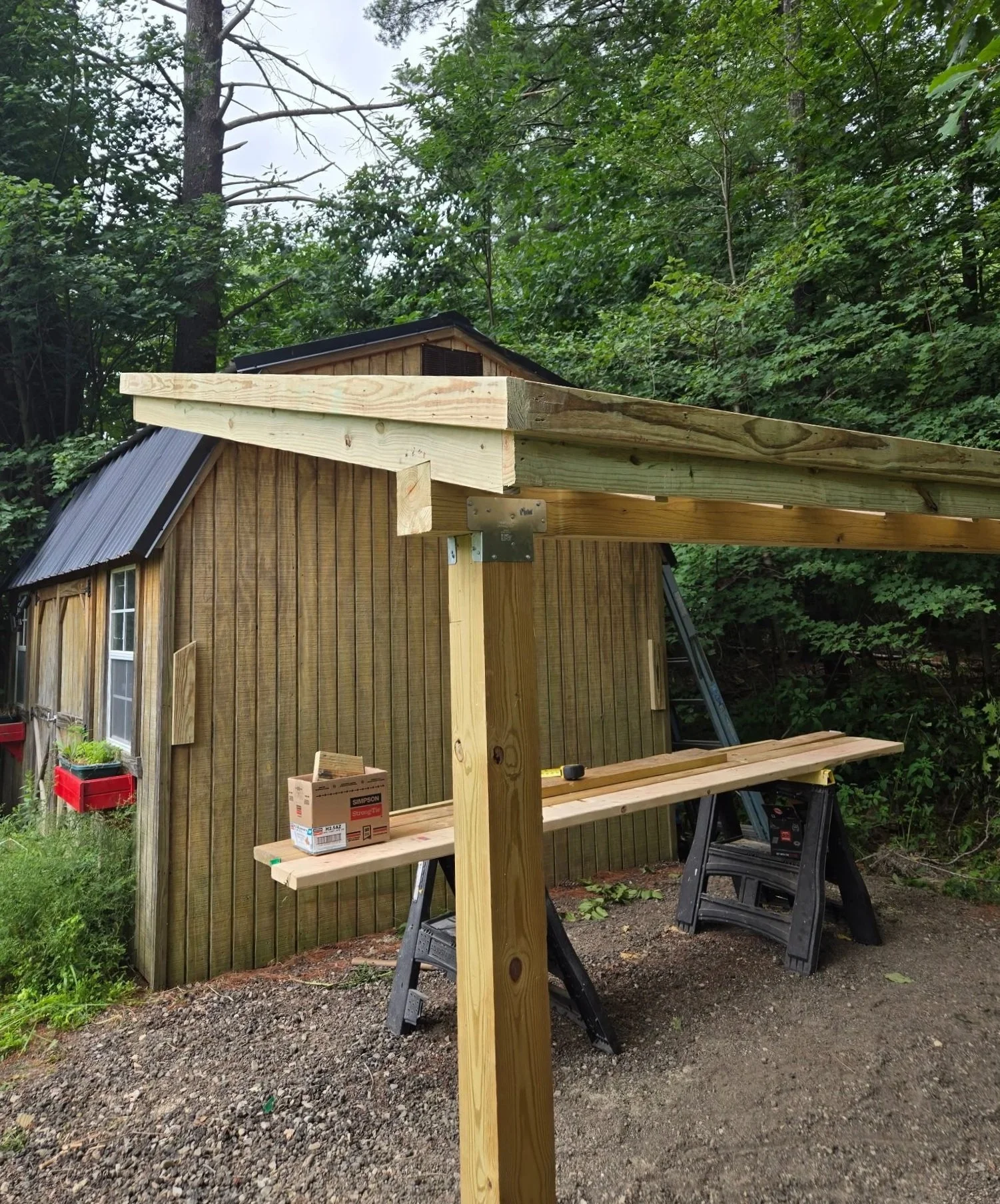 A partially constructed wooden shed in a backyard with building materials, a ladder, and a workbench.