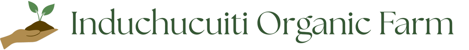 Induchucuiti Organic Farm