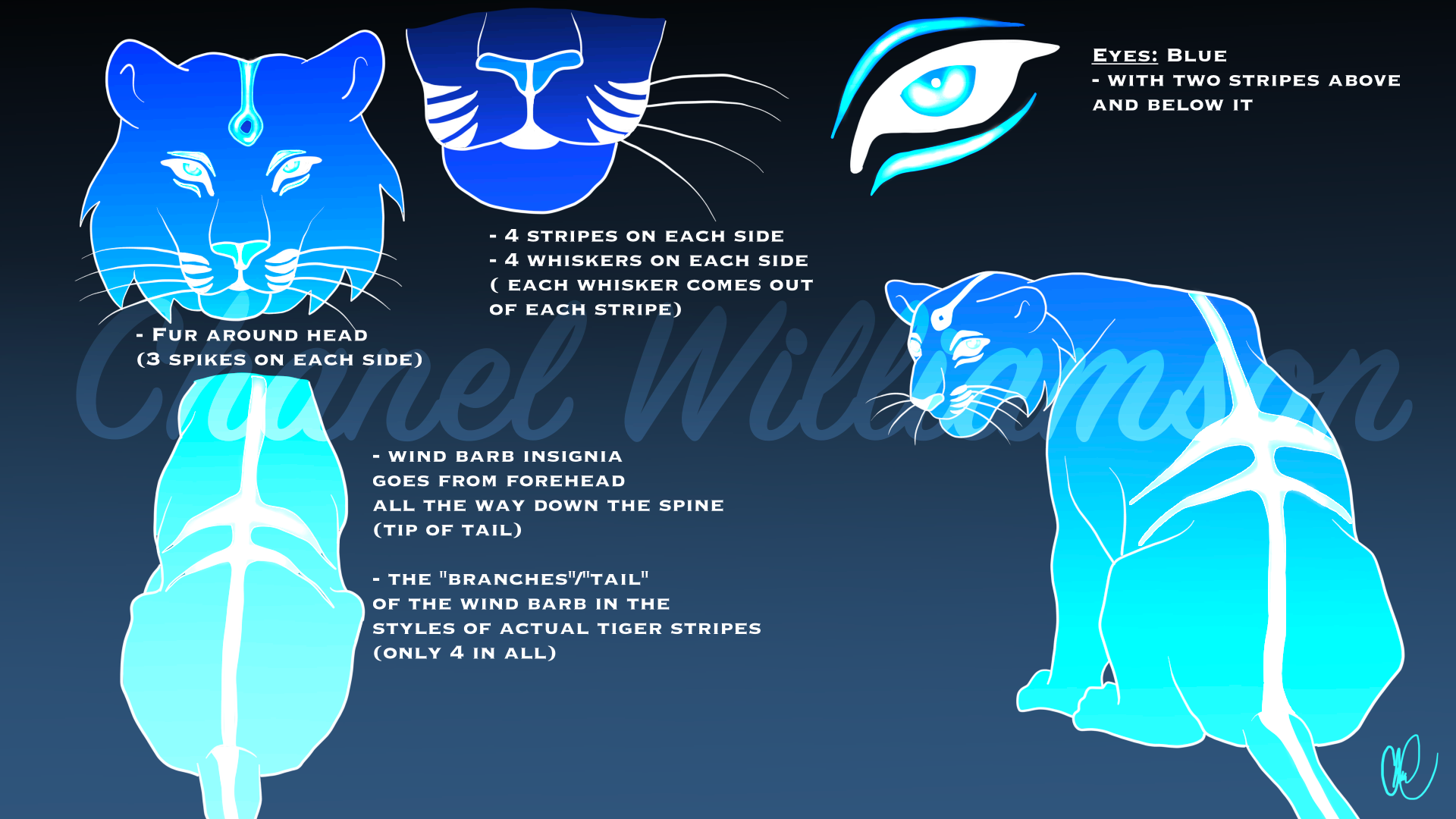 [Zayn] Tiger Companion - Design Concept