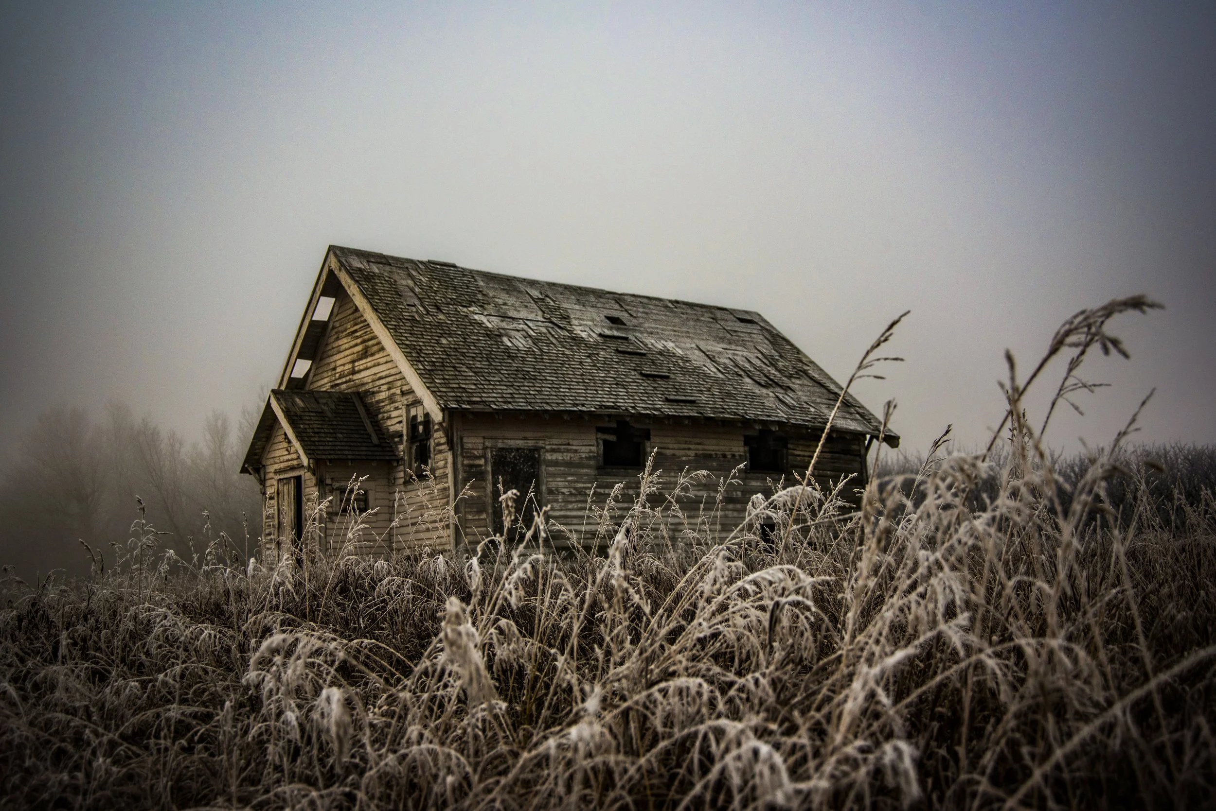 Abandoned cottage in rural southern Alberta 